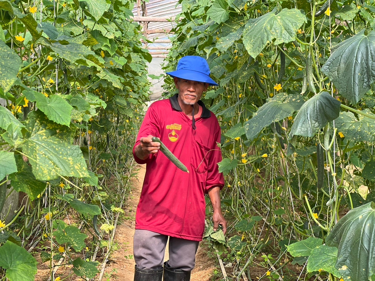 %e0%b9%81%e0%b8%9b%e0%b8%a5%e0%b8%87%e0%b9%81%e0%b8%95%e0%b8%87%e0%b8%81%e0%b8%a7%e0%b8%b2