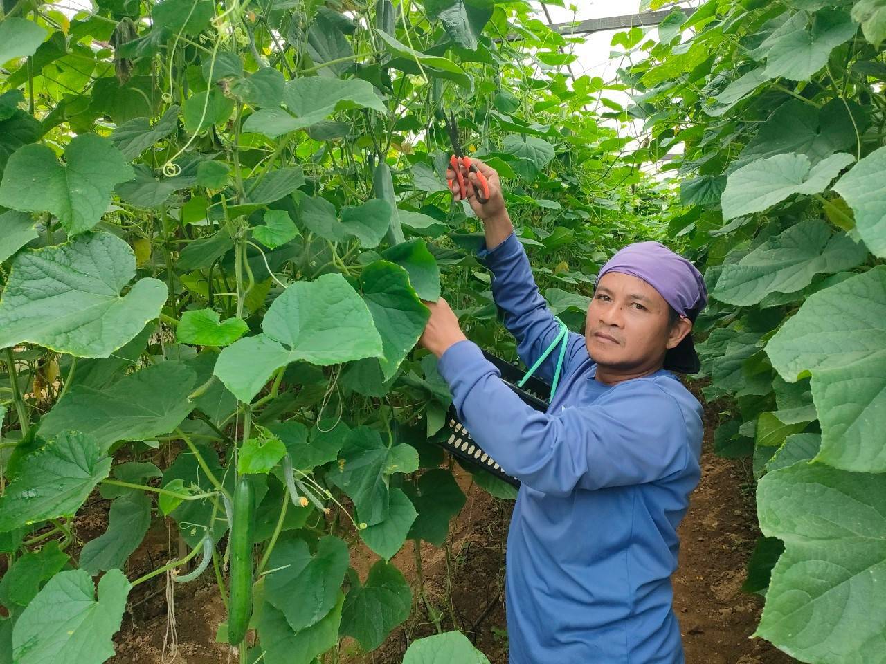 %e0%b9%81%e0%b8%9b%e0%b8%a5%e0%b8%87%e0%b9%81%e0%b8%95%e0%b8%87%e0%b8%81%e0%b8%a7%e0%b8%b2%e0%b8%8d%e0%b8%b5%e0%b9%88%e0%b8%9b%e0%b8%b8%e0%b9%88%e0%b8%99