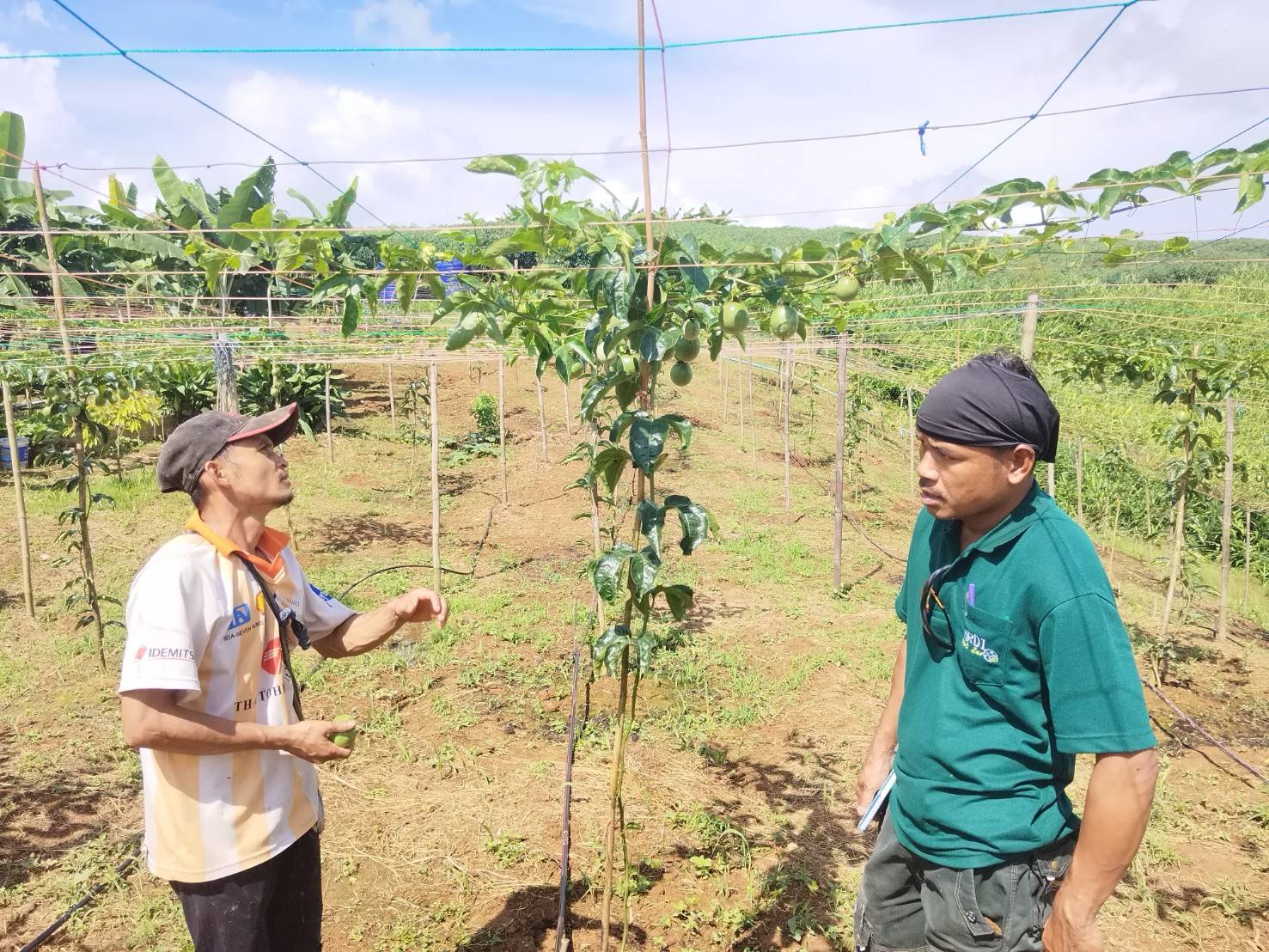 %e0%b9%81%e0%b8%9b%e0%b8%a5%e0%b8%87%e0%b9%80%e0%b8%aa%e0%b8%b2%e0%b8%a7%e0%b8%a3%e0%b8%aa