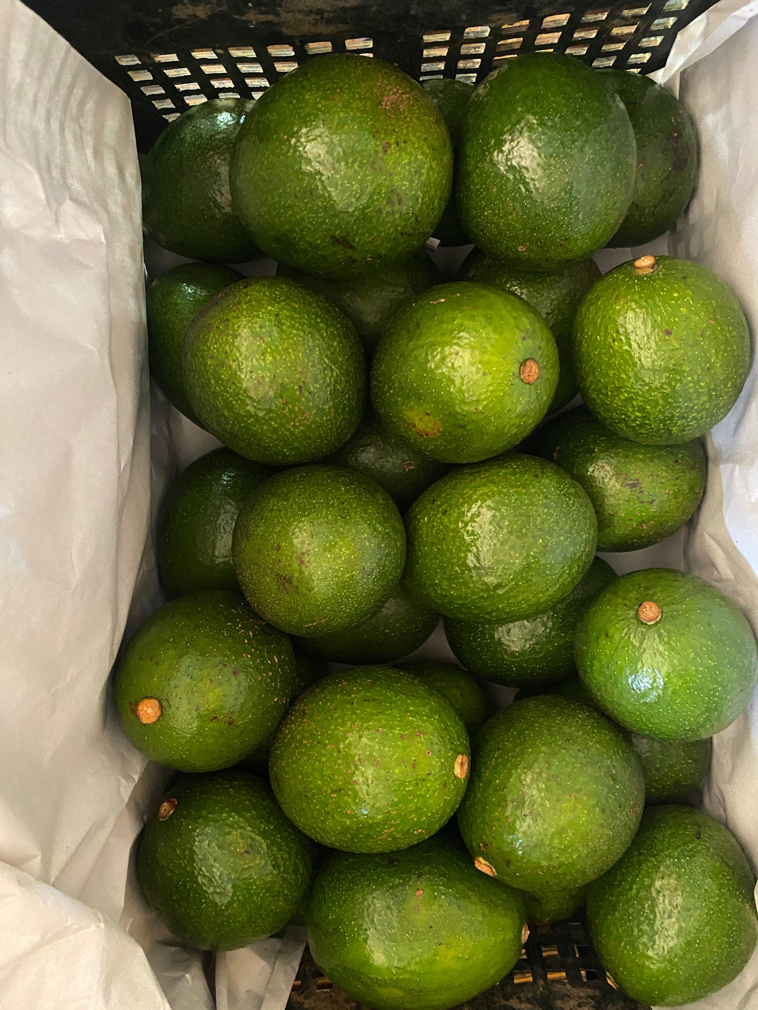 %e0%b8%ad%e0%b8%b0%e0%b9%82%e0%b8%a7%e0%b8%84%e0%b8%b2%e0%b9%82%e0%b8%94