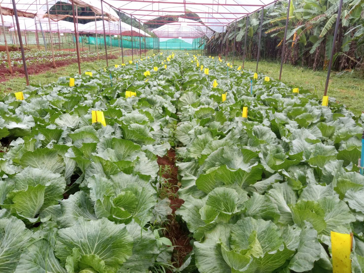 %e0%b8%81%e0%b8%a3%e0%b8%b0%e0%b8%ab%e0%b8%a5%e0%b9%88%e0%b8%b3%e0%b8%9b%e0%b8%a5%e0%b8%b5