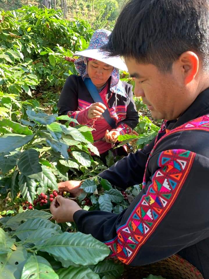 %e0%b8%9c%e0%b8%b9%e0%b9%89%e0%b8%99%e0%b8%b3%e0%b9%80%e0%b8%81%e0%b8%a9%e0%b8%95%e0%b8%a3%e0%b8%81%e0%b8%a3%e0%b9%81%e0%b8%a1%e0%b9%88%e0%b8%aa%e0%b8%a5%e0%b8%ad%e0%b8%87