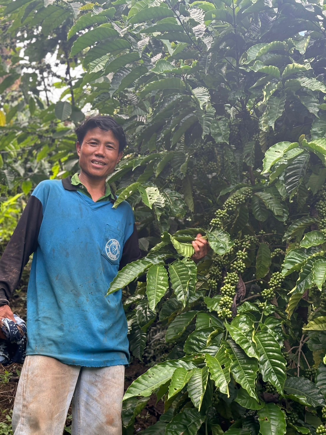 %e0%b9%81%e0%b8%9b%e0%b8%a5%e0%b8%87%e0%b8%81%e0%b8%b2%e0%b9%81%e0%b8%9f