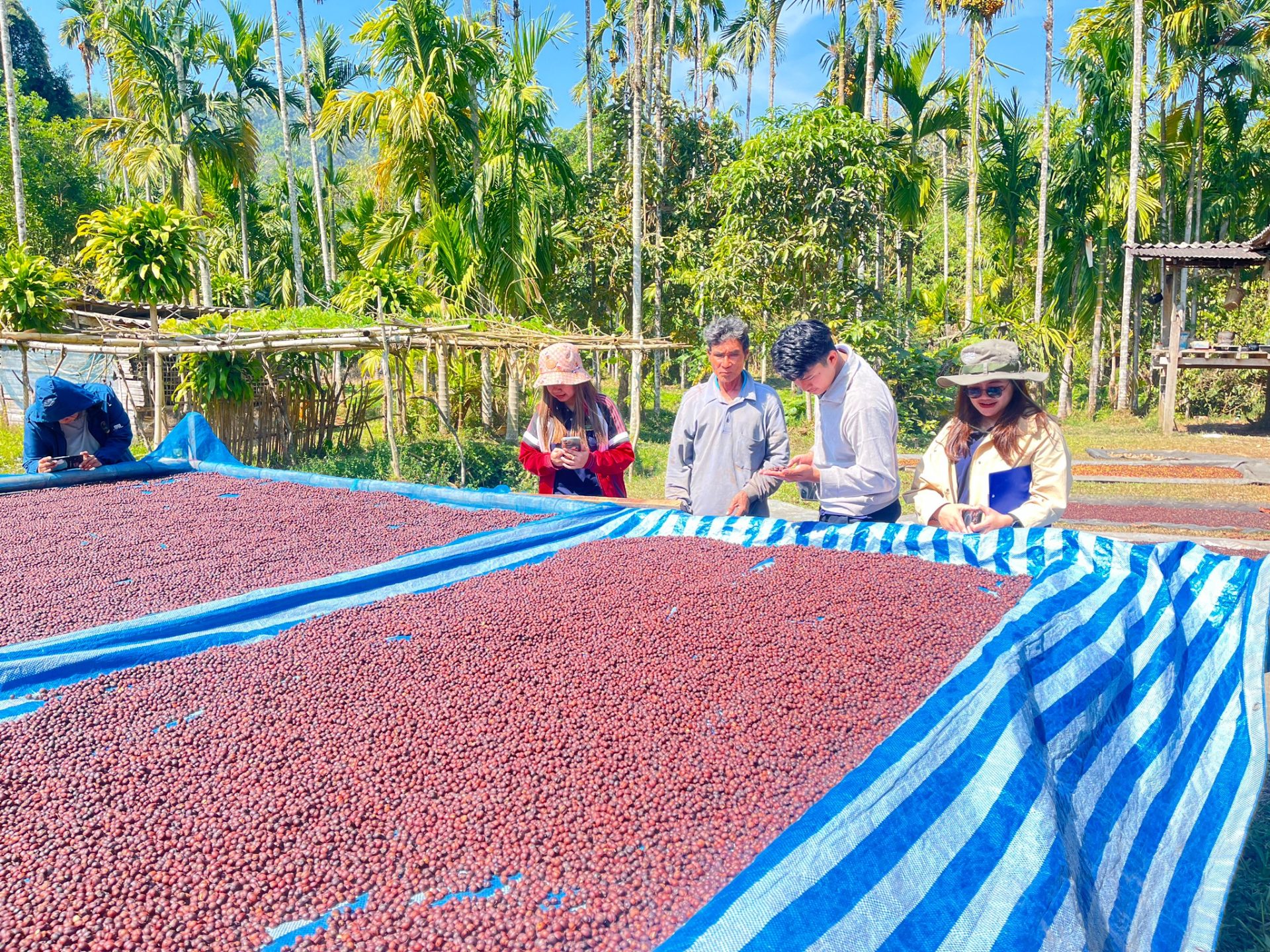 %e0%b8%81%e0%b8%b2%e0%b8%a3%e0%b8%95%e0%b8%b2%e0%b8%81%e0%b8%81%e0%b8%b2%e0%b9%81%e0%b8%9f