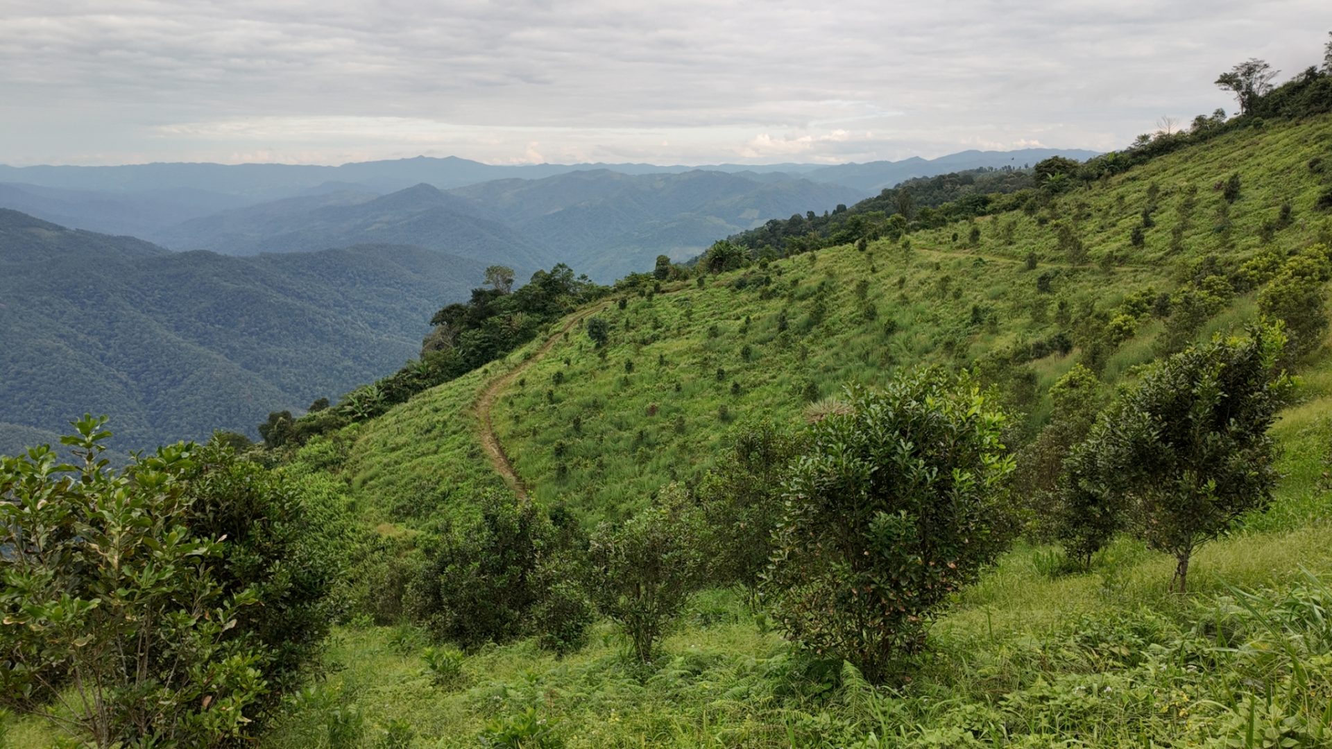 %e0%b9%81%e0%b8%9b%e0%b8%a5%e0%b8%87%e0%b9%81%e0%b8%a1%e0%b8%84%e0%b8%84%e0%b8%b2%e0%b9%80%e0%b8%94%e0%b9%80%e0%b8%a1%e0%b8%b5%e0%b8%a2