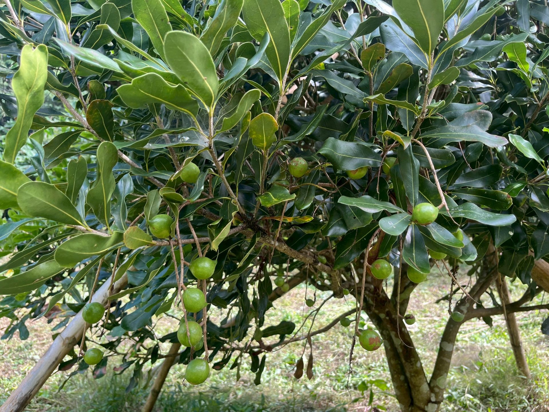 %e0%b8%9c%e0%b8%a5%e0%b9%81%e0%b8%a1%e0%b8%84%e0%b8%84%e0%b8%b2%e0%b9%80%e0%b8%94%e0%b9%80%e0%b8%a1%e0%b8%b5%e0%b8%a2