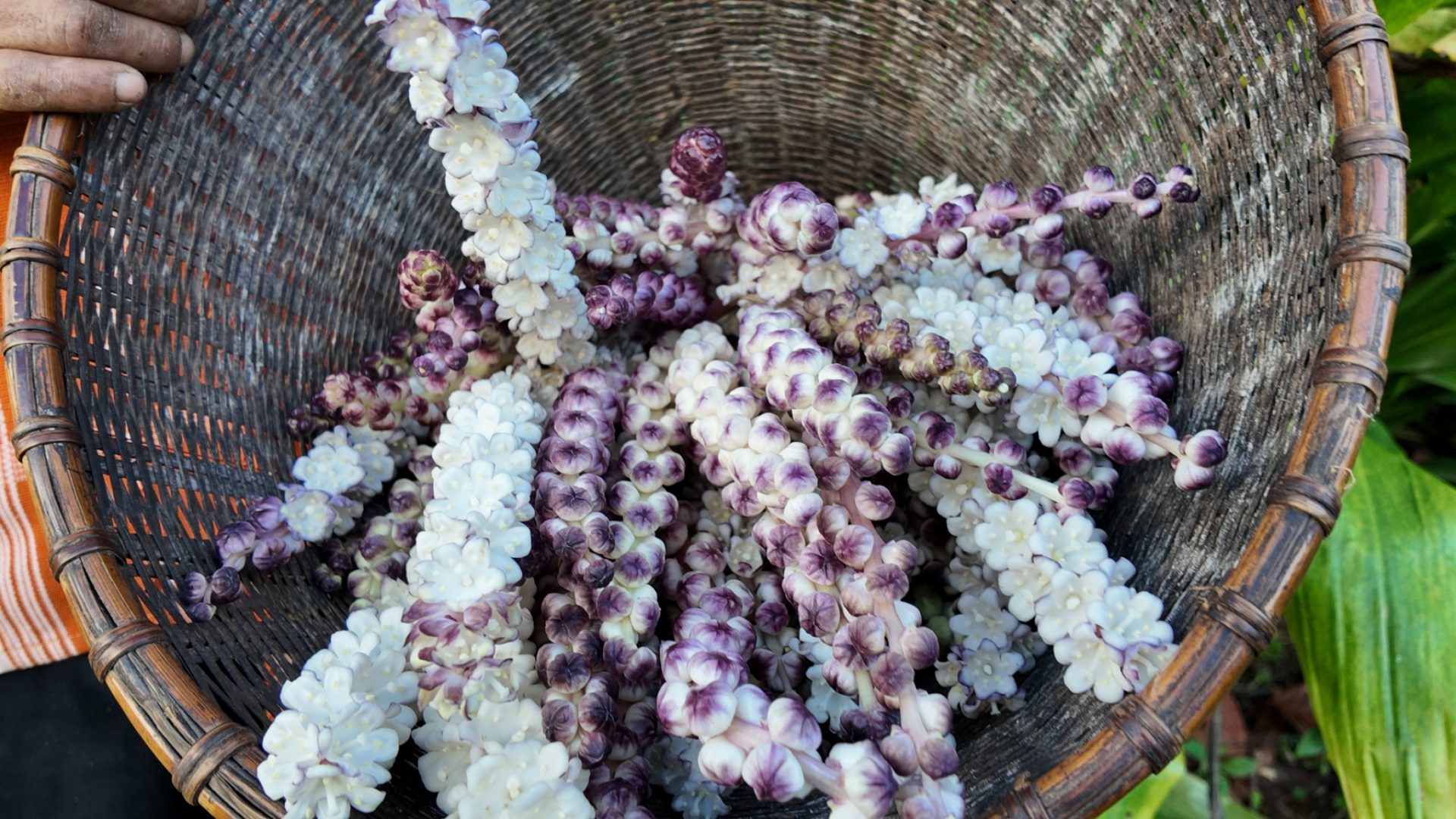 %e0%b8%94%e0%b8%ad%e0%b8%81%e0%b8%a5%e0%b8%b4%e0%b8%87%e0%b8%a5%e0%b8%b2%e0%b8%a72