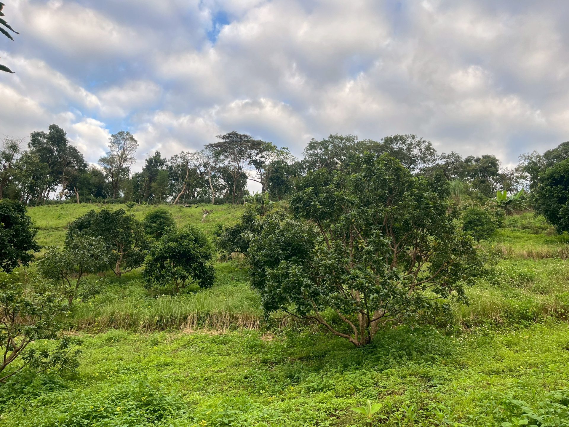 %e0%b9%81%e0%b8%9b%e0%b8%a5%e0%b8%87%e0%b8%9b%e0%b8%a3%e0%b8%b1%e0%b8%9a%e0%b8%a3%e0%b8%b0%e0%b8%9a%e0%b8%9a%e0%b8%ad%e0%b8%b0%e0%b9%82%e0%b8%a7%e0%b8%84%e0%b8%b2