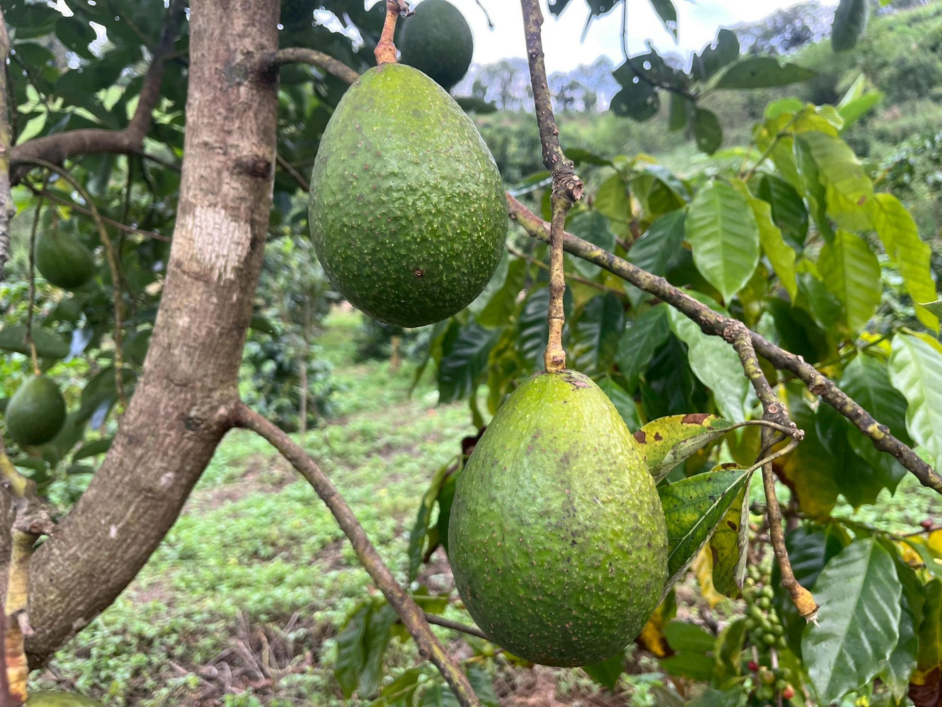 %e0%b8%ad%e0%b8%b0%e0%b9%82%e0%b8%a7%e0%b8%84%e0%b8%b2%e0%b9%82%e0%b8%94