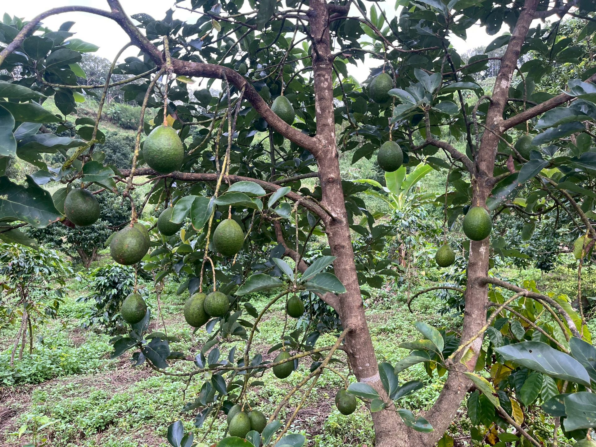 %e0%b8%ad%e0%b8%b0%e0%b9%82%e0%b8%a7%e0%b8%84%e0%b8%b2%e0%b9%82%e0%b8%942