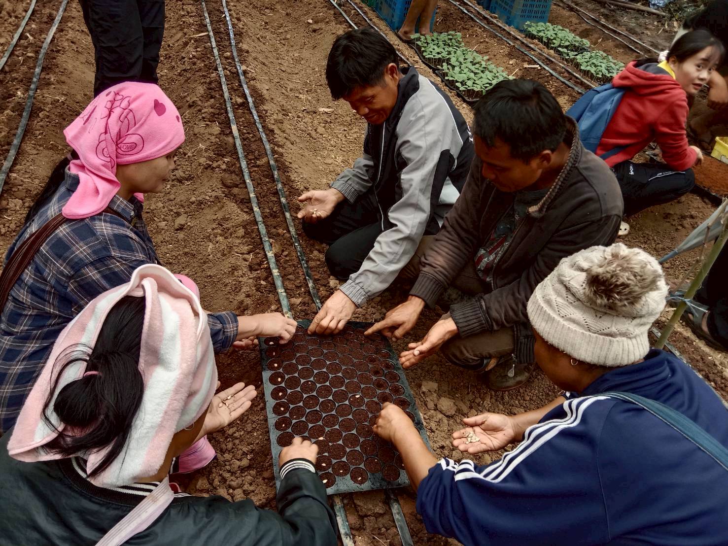 %e0%b8%81%e0%b8%b2%e0%b8%a3%e0%b9%80%e0%b8%9e%e0%b8%b2%e0%b8%b0%e0%b8%81%e0%b8%a5%e0%b9%89%e0%b8%b2