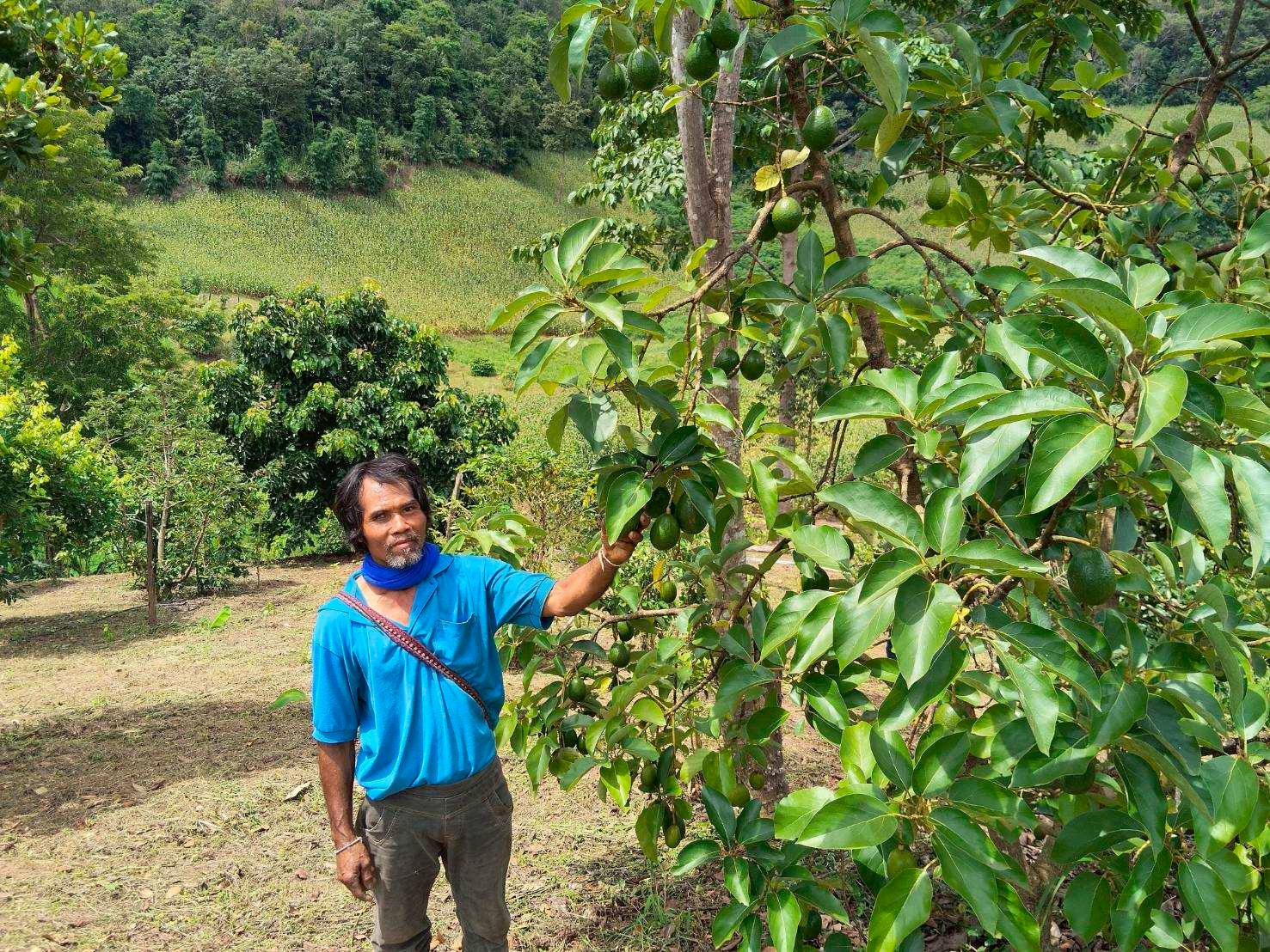 %e0%b9%81%e0%b8%9b%e0%b8%a5%e0%b8%87%e0%b8%ad%e0%b8%b0%e0%b9%82%e0%b8%a7%e0%b8%84%e0%b8%b2%e0%b9%82%e0%b8%94