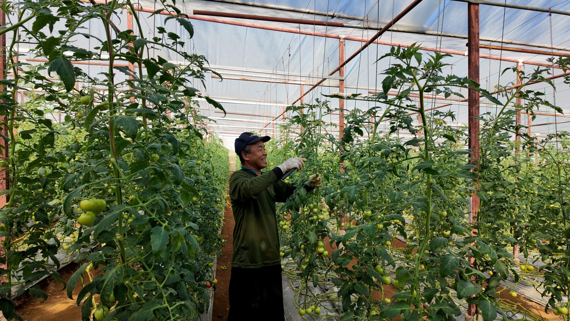 %e0%b8%a1%e0%b8%b0%e0%b9%80%e0%b8%82%e0%b8%b7%e0%b8%ad%e0%b9%80%e0%b8%97%e0%b8%a8%e0%b9%82%e0%b8%97%e0%b8%a1%e0%b8%b1%e0%b8%aa