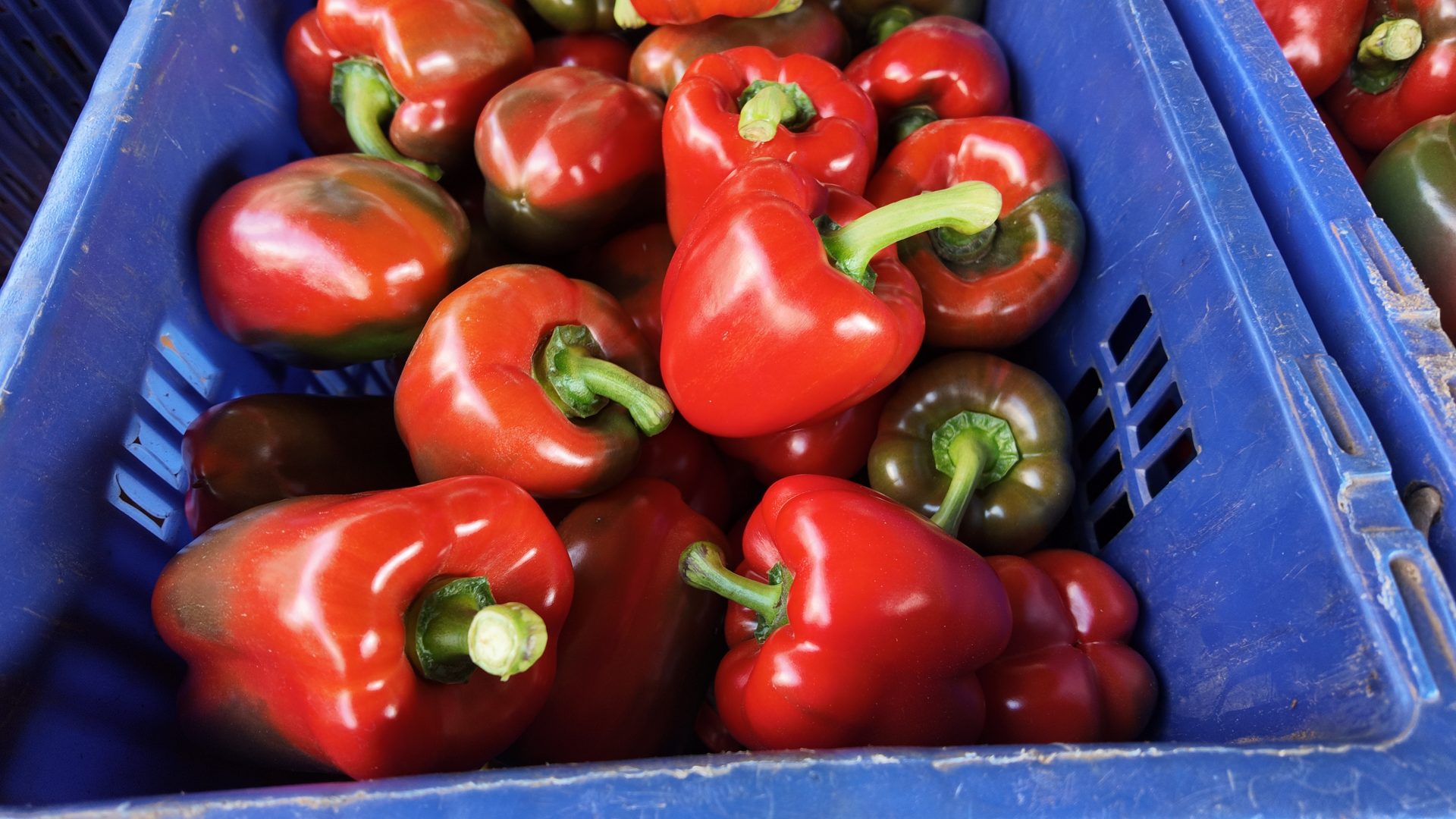 %e0%b8%9c%e0%b8%a5%e0%b8%9c%e0%b8%a5%e0%b8%b4%e0%b8%95-%e0%b8%aa%e0%b8%9a%e0%b9%82%e0%b8%82%e0%b8%87-3