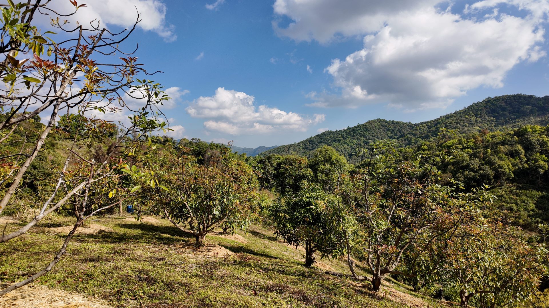 %e0%b9%81%e0%b8%9b%e0%b8%a5%e0%b8%87%e0%b8%ad%e0%b8%b0%e0%b9%82%e0%b8%a7%e0%b8%84%e0%b8%b2%e0%b9%82%e0%b8%94