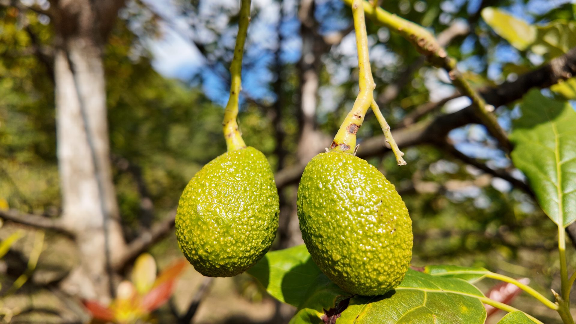 %e0%b8%ad%e0%b8%b0%e0%b9%82%e0%b8%a7%e0%b8%84%e0%b8%b2%e0%b9%82%e0%b8%94-%e0%b8%9a%e0%b9%89%e0%b8%b2%e0%b8%99%e0%b8%ab%e0%b9%89%e0%b8%a7%e0%b8%a2%e0%b9%81%e0%b8%ab%e0%b9%89%e0%b8%87