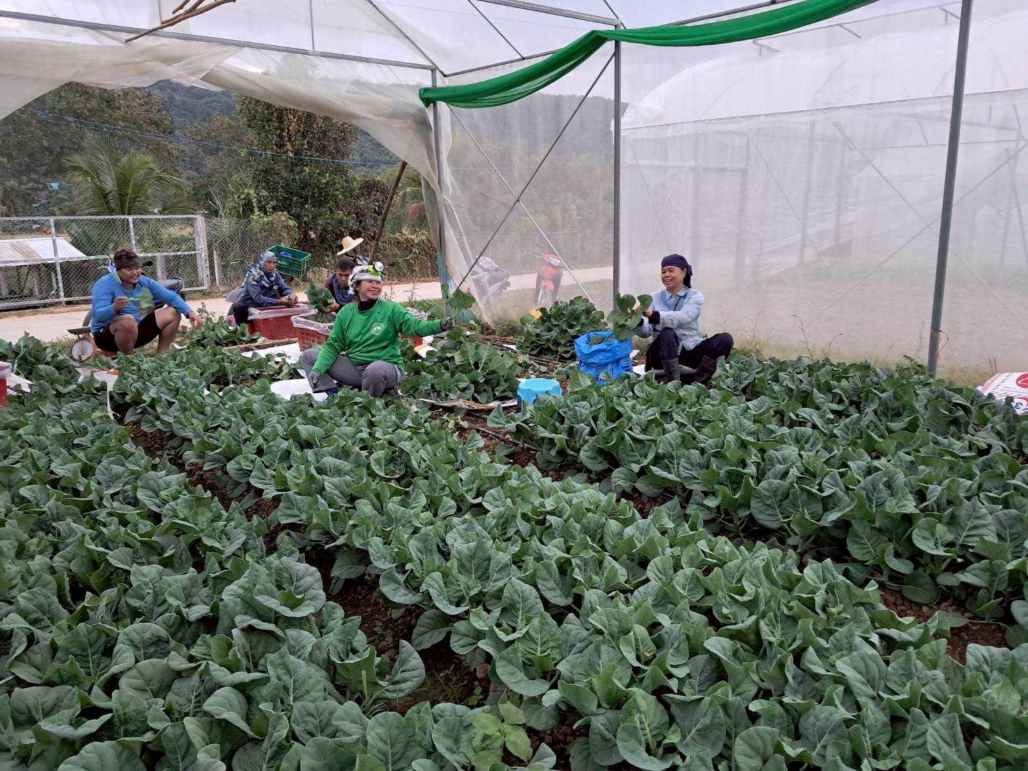 %e0%b8%95%e0%b8%b1%e0%b8%94%e0%b8%9c%e0%b8%b1%e0%b8%81%e0%b9%83%e0%b8%99%e0%b9%82%e0%b8%a3%e0%b8%87%e0%b9%80%e0%b8%a3%e0%b8%b7%e0%b8%ad%e0%b8%99