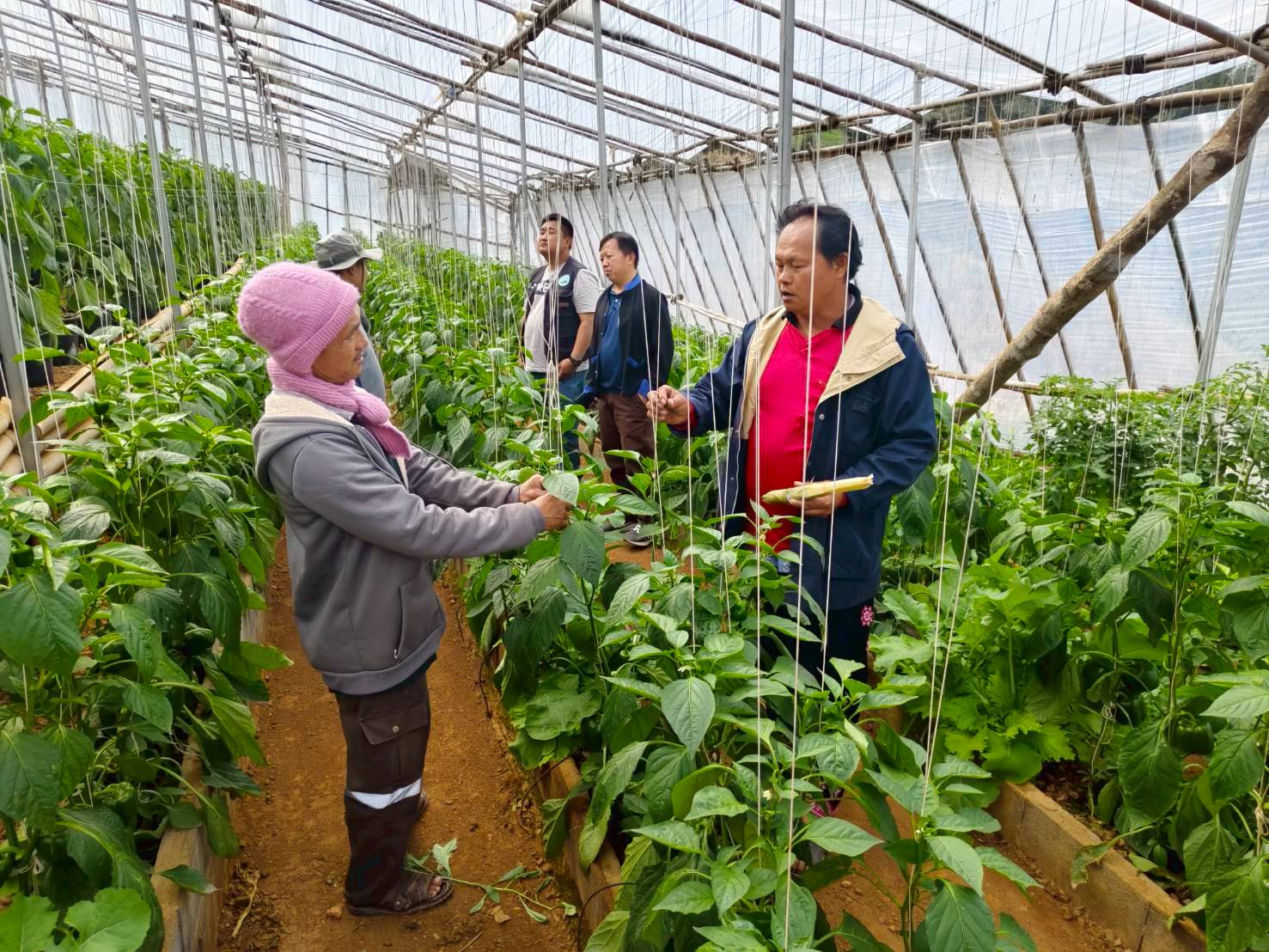 %e0%b9%81%e0%b8%a5%e0%b8%81%e0%b9%80%e0%b8%9b%e0%b8%a5%e0%b8%b5%e0%b9%88%e0%b8%a2%e0%b8%99%e0%b9%80%e0%b8%a3%e0%b8%b5%e0%b8%a2%e0%b8%99%e0%b8%a3%e0%b8%b9%e0%b9%89