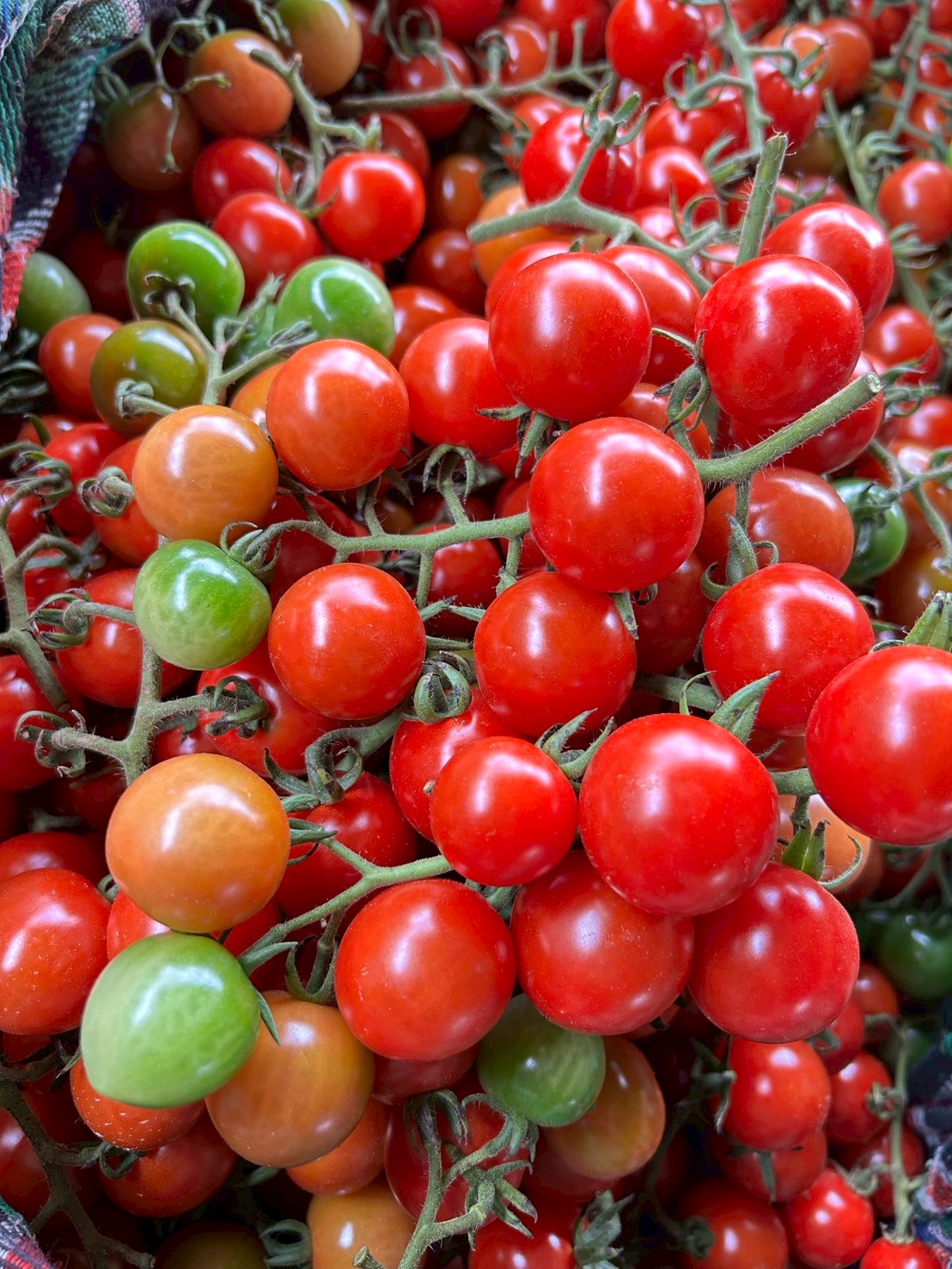 %e0%b8%a1%e0%b8%b0%e0%b9%80%e0%b8%82%e0%b8%b7%e0%b8%ad%e0%b9%80%e0%b8%97%e0%b8%a8%e0%b9%80%e0%b8%8a%e0%b8%ad%e0%b8%a3%e0%b8%b5%e0%b9%88-%e0%b8%9b%e0%b8%b2%e0%b8%87%e0%b8%a2%e0%b8%b2%e0%b8%87