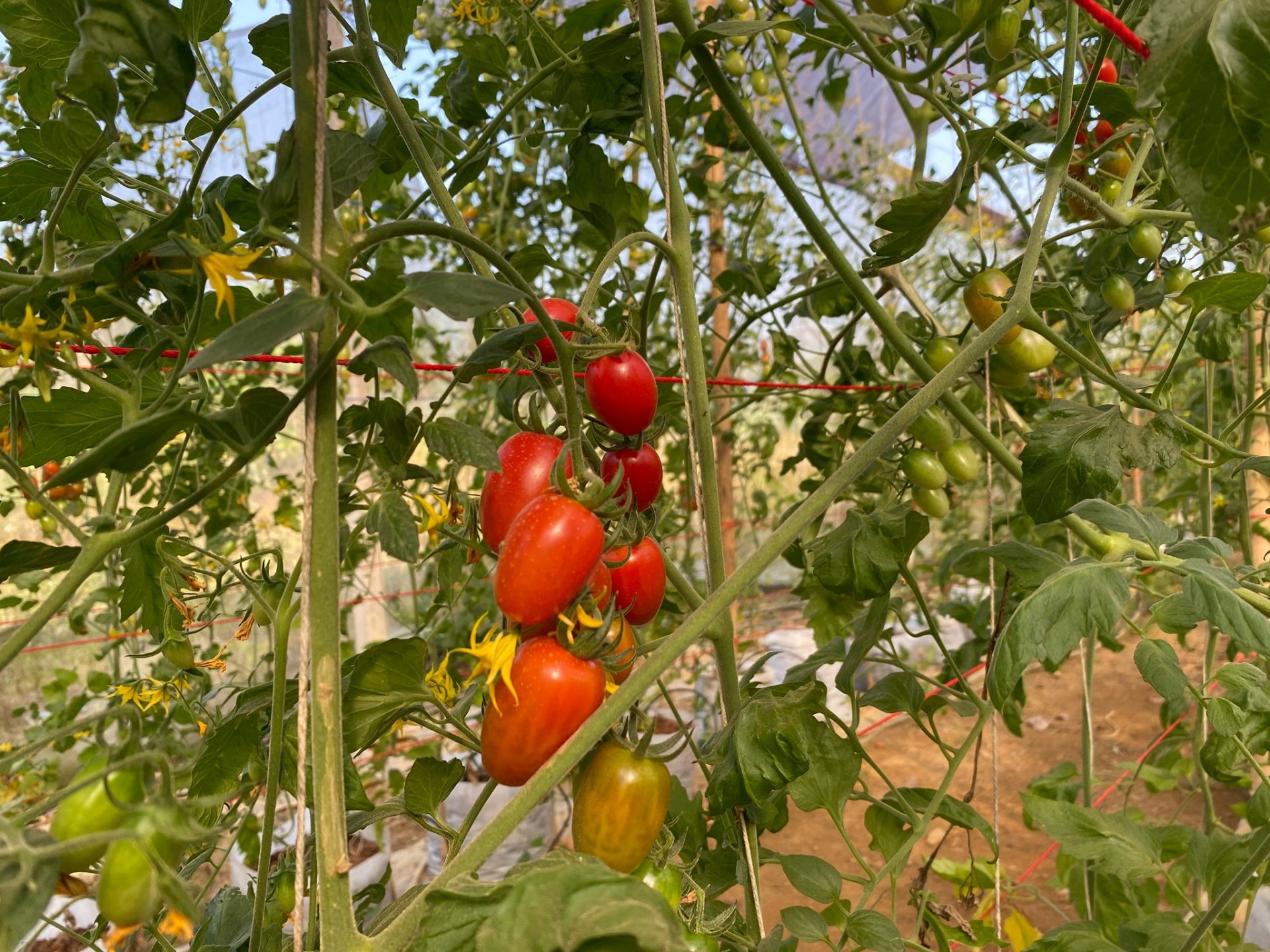 %e0%b8%a1%e0%b8%b0%e0%b9%80%e0%b8%82%e0%b8%b7%e0%b8%ad%e0%b9%80%e0%b8%97%e0%b8%a8%e0%b9%80%e0%b8%8a%e0%b8%ad%e0%b8%a3%e0%b8%b5%e0%b9%88