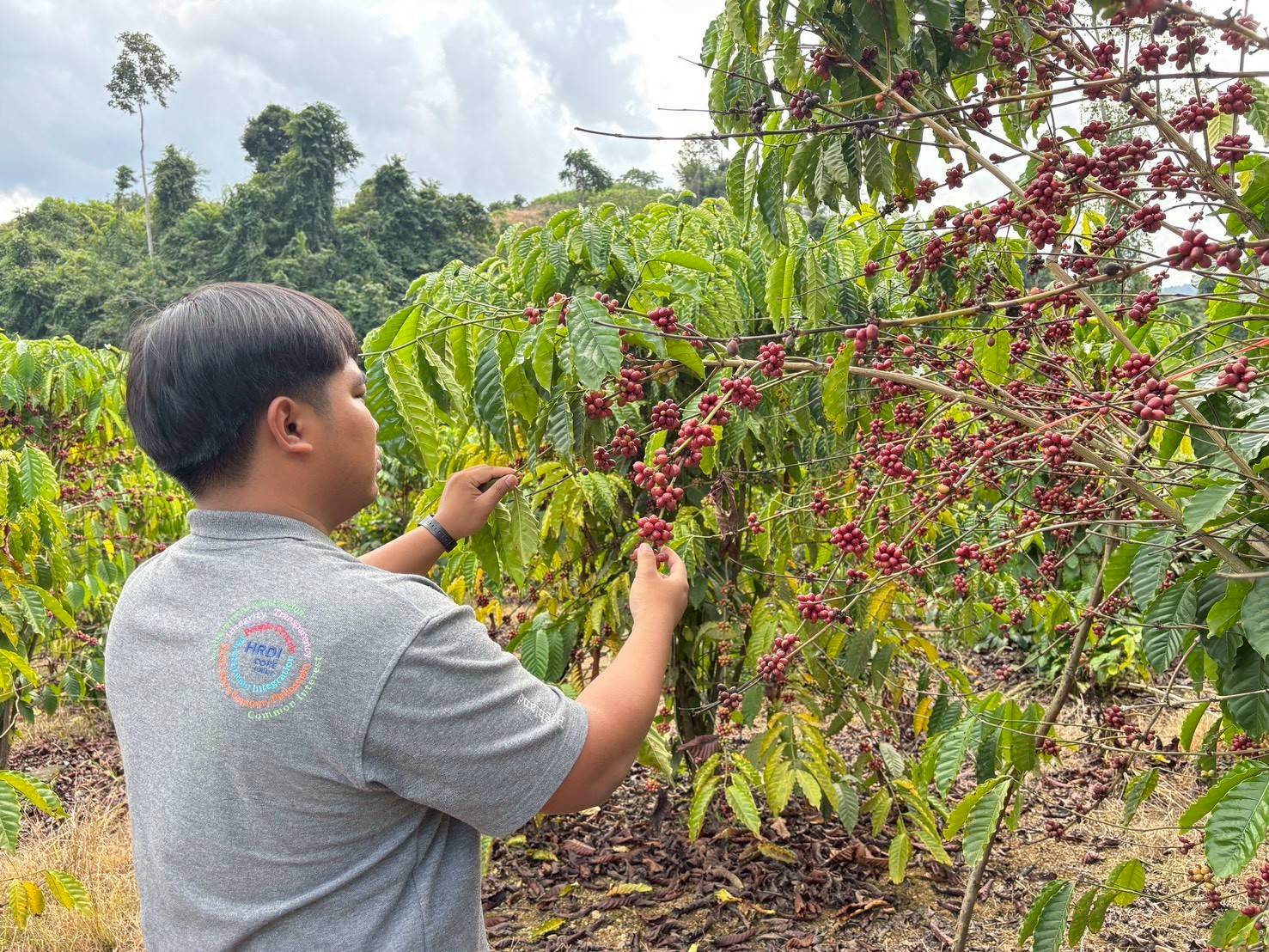 %e0%b8%81%e0%b8%b2%e0%b9%81%e0%b8%9f%e0%b9%82%e0%b8%a3%e0%b8%9a%e0%b8%b1%e0%b8%aa%e0%b8%95%e0%b9%89%e0%b8%b2