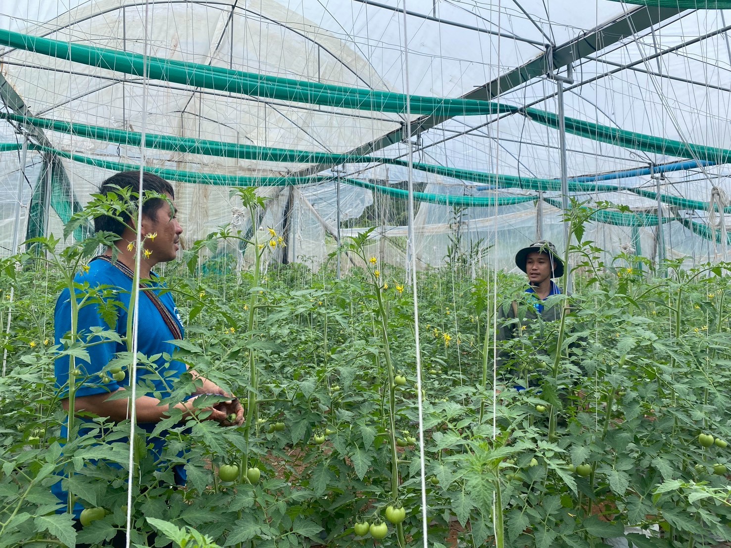 %e0%b8%95%e0%b8%b4%e0%b8%94%e0%b8%95%e0%b8%b2%e0%b8%a1%e0%b9%81%e0%b8%9b%e0%b8%a5%e0%b8%87%e0%b8%9c%e0%b8%b9%e0%b9%89%e0%b8%99%e0%b8%b3%e0%b9%80%e0%b8%81%e0%b8%a9%e0%b8%95%e0%b8%a3%e0%b8%81%e0%b8%a3