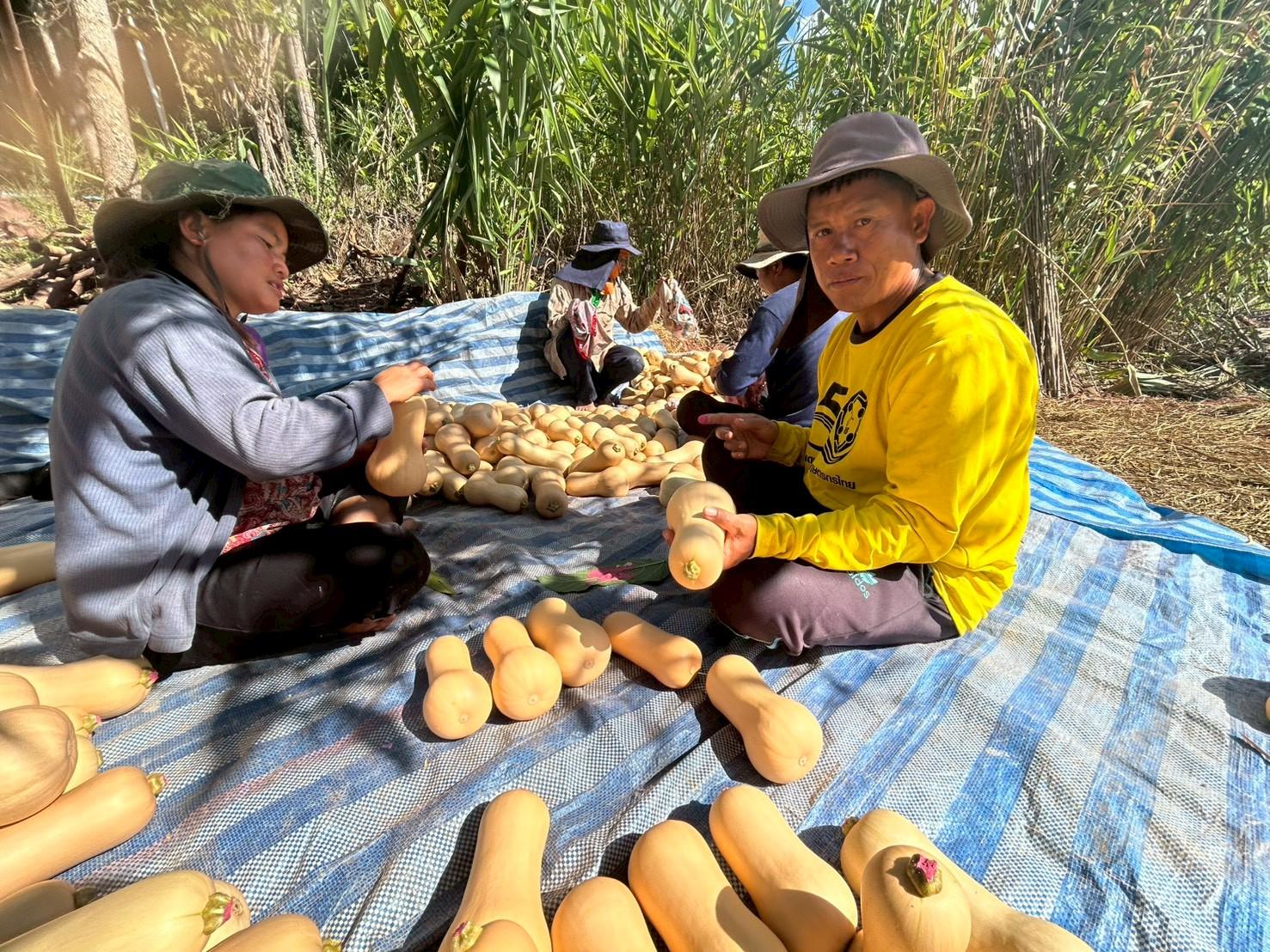 %e0%b8%9a%e0%b8%b1%e0%b8%95%e0%b9%80%e0%b8%95%e0%b8%ad%e0%b8%a3%e0%b9%8c%e0%b8%99%e0%b8%b1%e0%b8%97-%e0%b8%9a%e0%b9%88%e0%b8%ad%e0%b9%80%e0%b8%81%e0%b8%a5%e0%b8%b7%e0%b8%ad-2