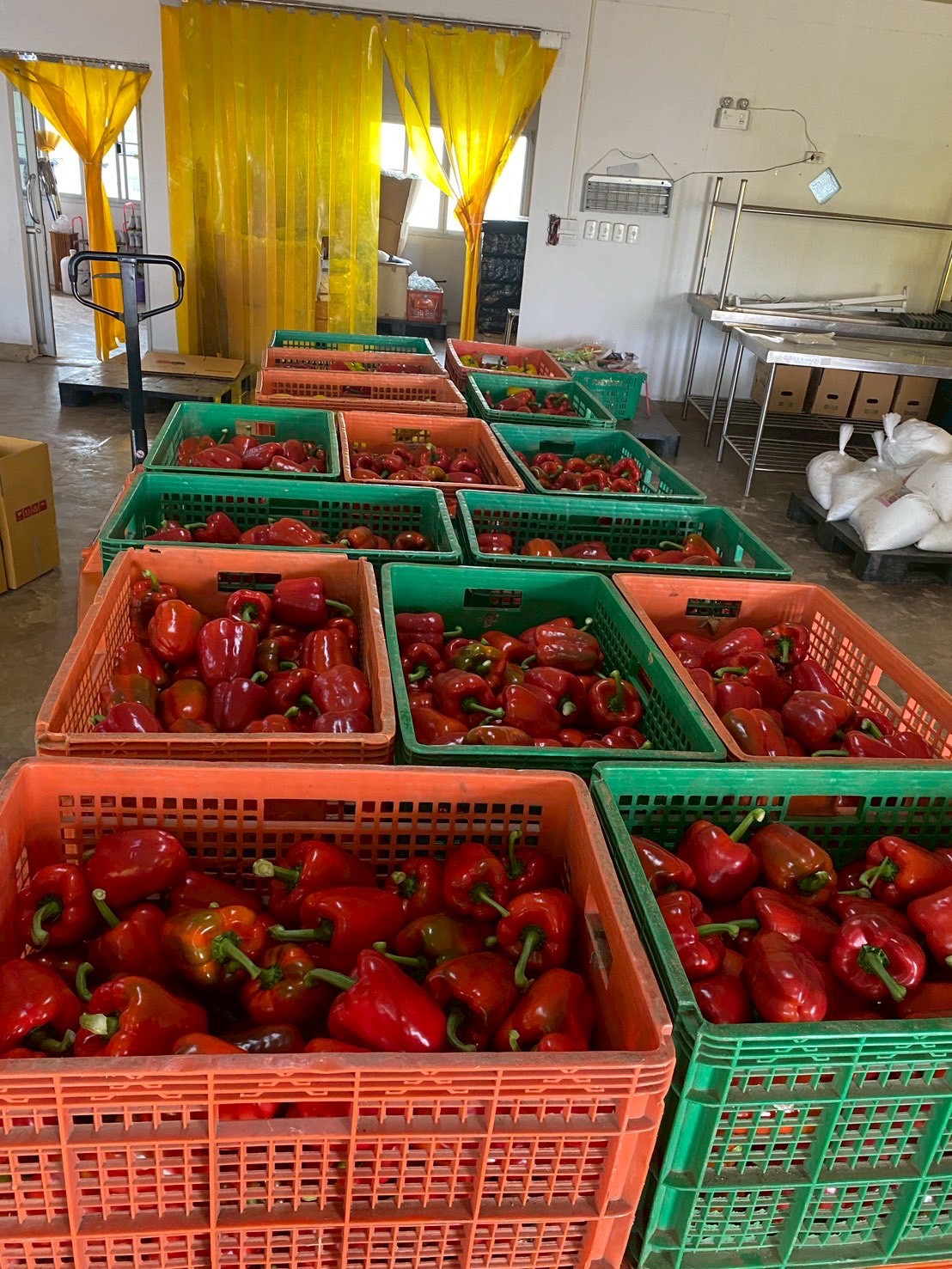 %e0%b8%84%e0%b8%b1%e0%b8%94%e0%b8%9c%e0%b8%a5%e0%b8%9c%e0%b8%a5%e0%b8%b4%e0%b8%95%e0%b8%9e%e0%b8%a3%e0%b8%b4%e0%b8%81%e0%b8%ab%e0%b8%a7%e0%b8%b2%e0%b8%99