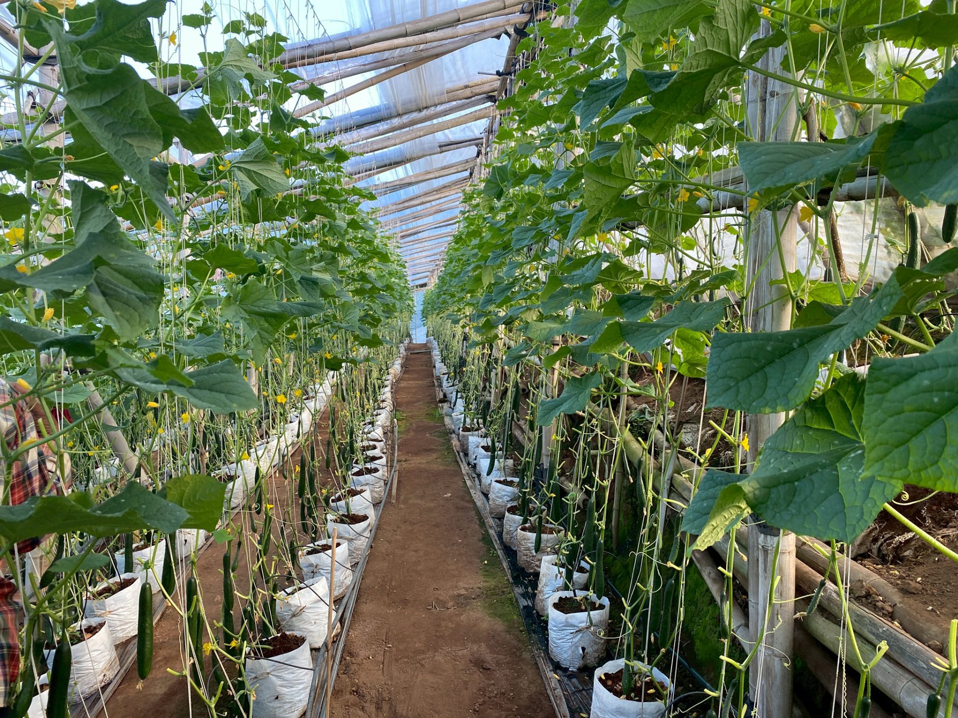 %e0%b9%81%e0%b8%95%e0%b8%87%e0%b8%81%e0%b8%a7%e0%b8%b2%e0%b8%8d%e0%b8%b5%e0%b9%88%e0%b8%9b%e0%b8%b8%e0%b9%88%e0%b8%99-%e0%b8%9b%e0%b8%b2%e0%b8%87%e0%b8%a2%e0%b8%b2%e0%b8%87