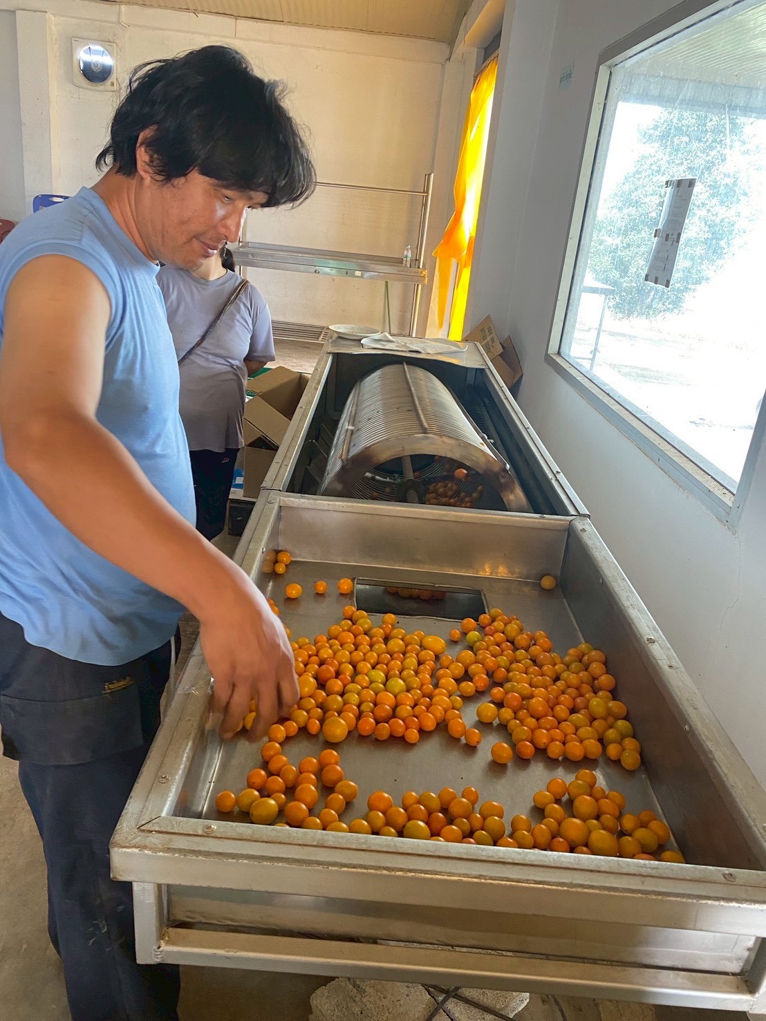 %e0%b8%84%e0%b8%b1%e0%b8%94%e0%b9%80%e0%b8%81%e0%b8%a3%e0%b8%94%e0%b8%a1%e0%b8%b0%e0%b9%80%e0%b8%82%e0%b8%b7%e0%b8%ad%e0%b9%80%e0%b8%97%e0%b8%a8%e0%b9%80%e0%b8%8a%e0%b8%ad%e0%b8%a3%e0%b8%b5%e0%b9%88