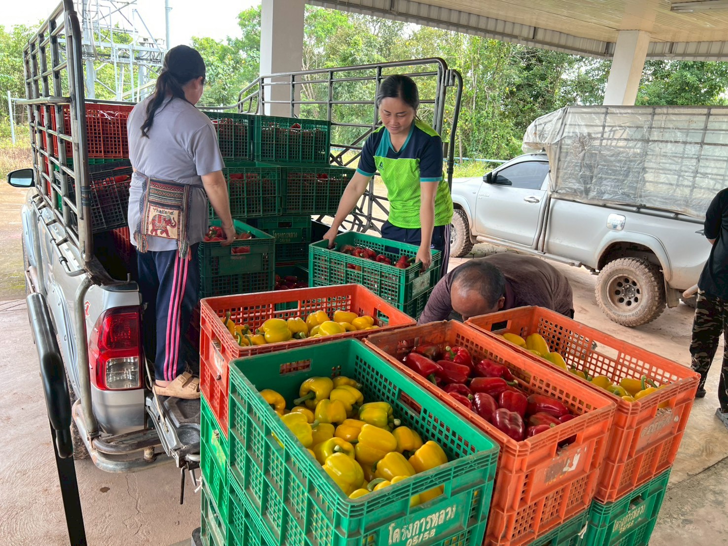 %e0%b8%84%e0%b8%b1%e0%b8%94%e0%b9%80%e0%b8%81%e0%b8%a3%e0%b8%94%e0%b8%9e%e0%b8%a3%e0%b8%b4%e0%b8%81%e0%b8%ab%e0%b8%a7%e0%b8%b2%e0%b8%99-1