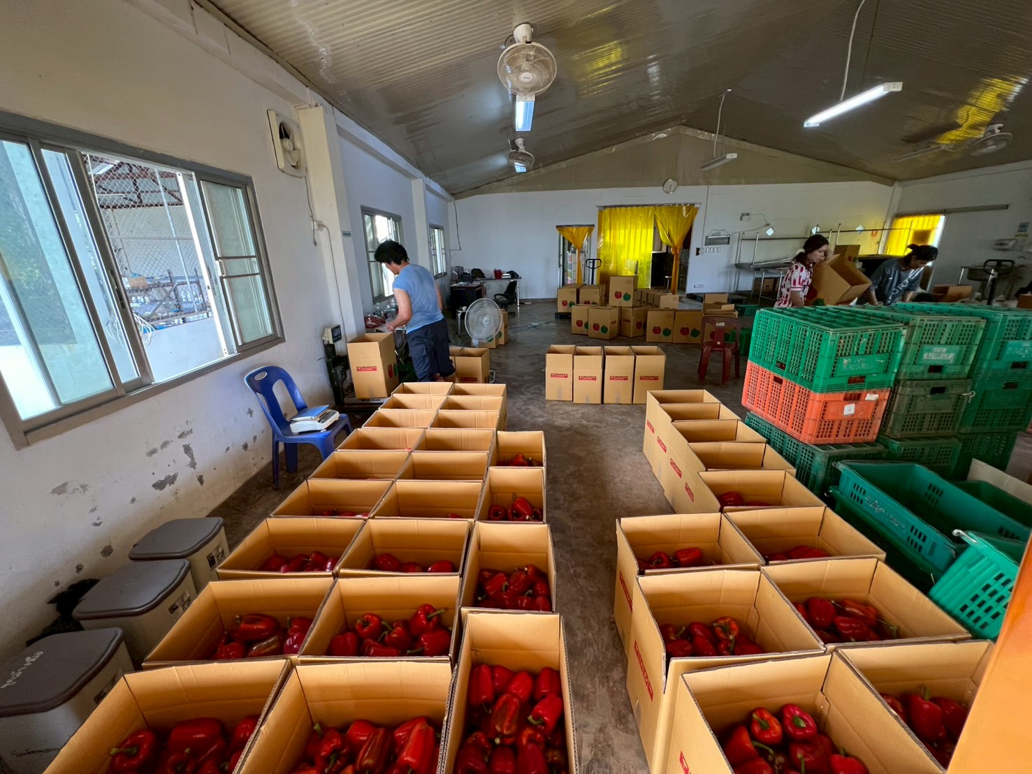 %e0%b8%84%e0%b8%b1%e0%b8%94%e0%b9%80%e0%b8%81%e0%b8%a3%e0%b8%94%e0%b8%9e%e0%b8%a3%e0%b8%b4%e0%b8%81%e0%b8%ab%e0%b8%a7%e0%b8%b2%e0%b8%99-2