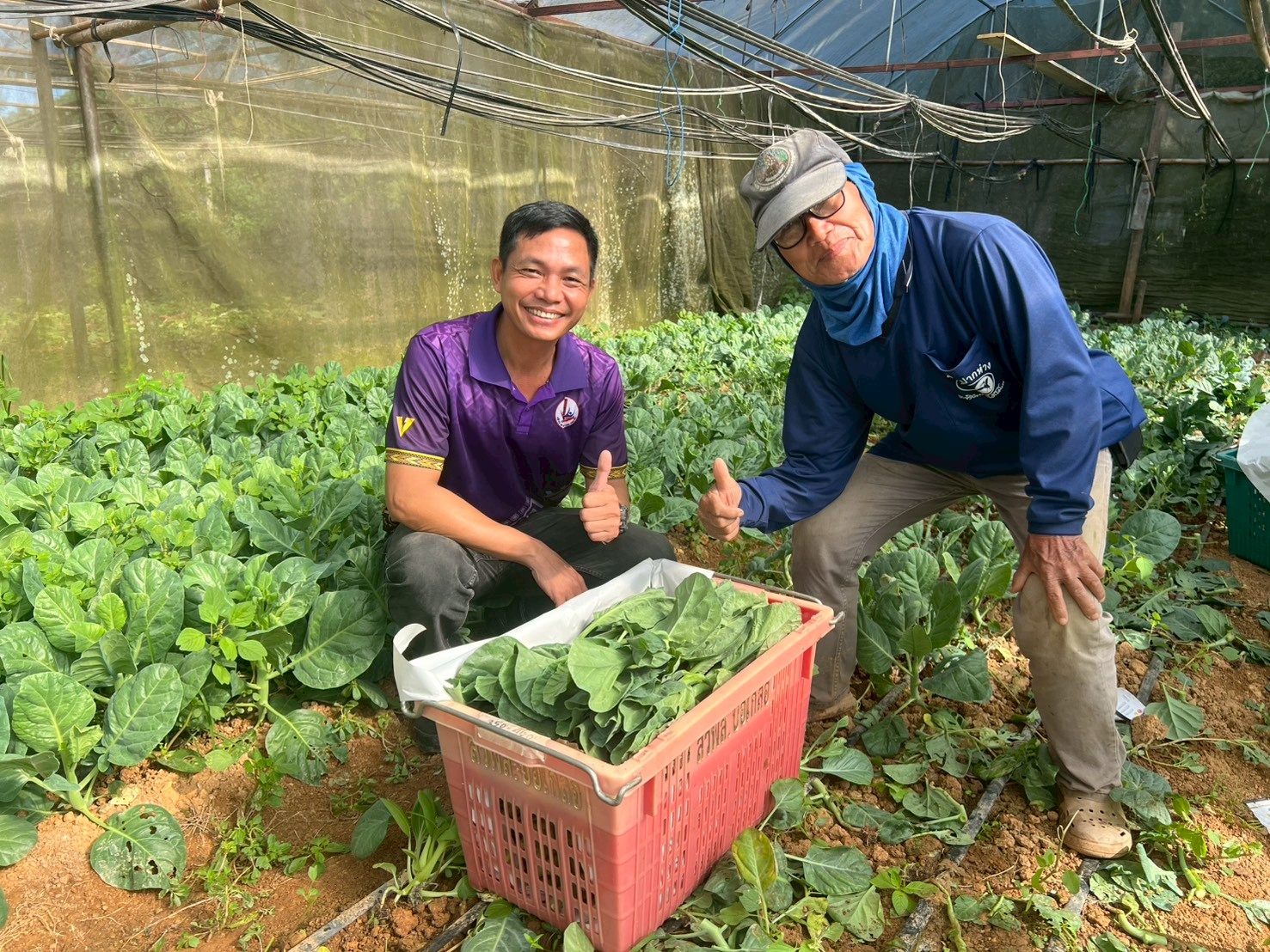 %e0%b8%95%e0%b8%b1%e0%b8%94%e0%b8%9c%e0%b8%b1%e0%b8%81%e0%b9%83%e0%b8%99%e0%b9%82%e0%b8%a3%e0%b8%87%e0%b9%80%e0%b8%a3%e0%b8%b7%e0%b8%ad%e0%b8%99