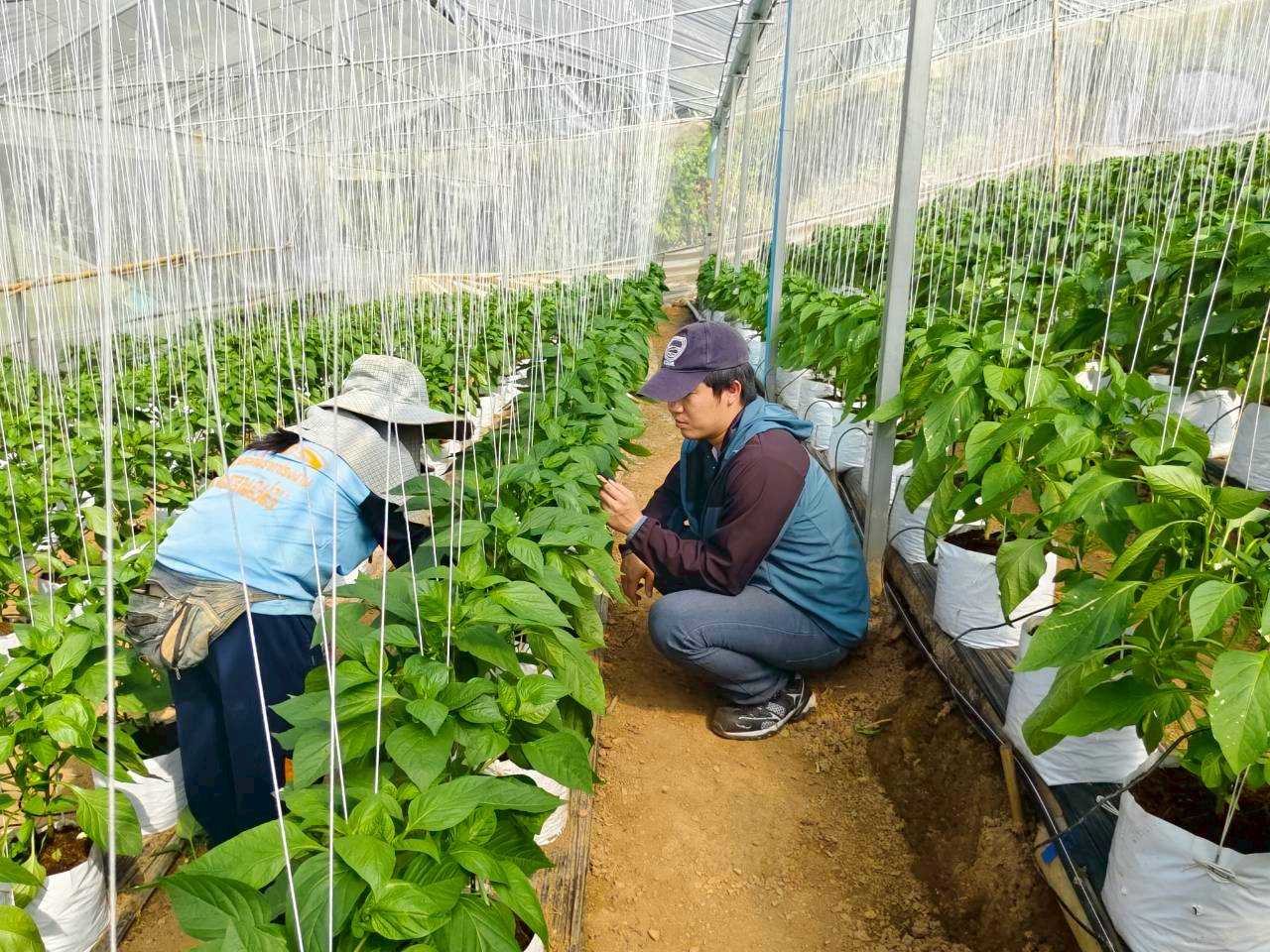 %e0%b8%95%e0%b8%b4%e0%b8%94%e0%b8%95%e0%b8%b2%e0%b8%a1%e0%b9%83%e0%b8%ab%e0%b9%89%e0%b8%84%e0%b8%b3%e0%b9%81%e0%b8%99%e0%b8%b0%e0%b8%99%e0%b8%b3%e0%b8%81%e0%b8%b2%e0%b8%a3%e0%b8%9b%e0%b8%a5%e0%b8%b9