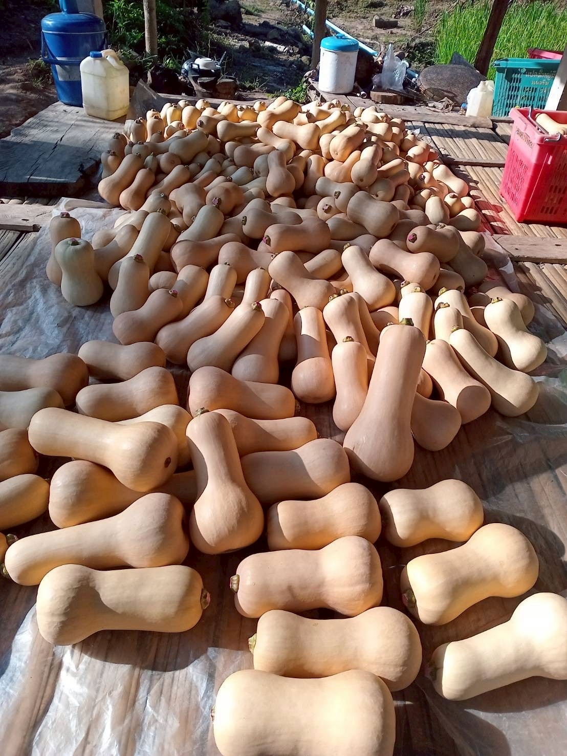 %e0%b8%9a%e0%b8%b1%e0%b8%95%e0%b9%80%e0%b8%95%e0%b8%ad%e0%b8%a3%e0%b9%8c%e0%b8%99%e0%b8%b1%e0%b8%97-%e0%b8%9a%e0%b9%88%e0%b8%ad%e0%b9%80%e0%b8%81%e0%b8%a5%e0%b8%b7%e0%b8%ad