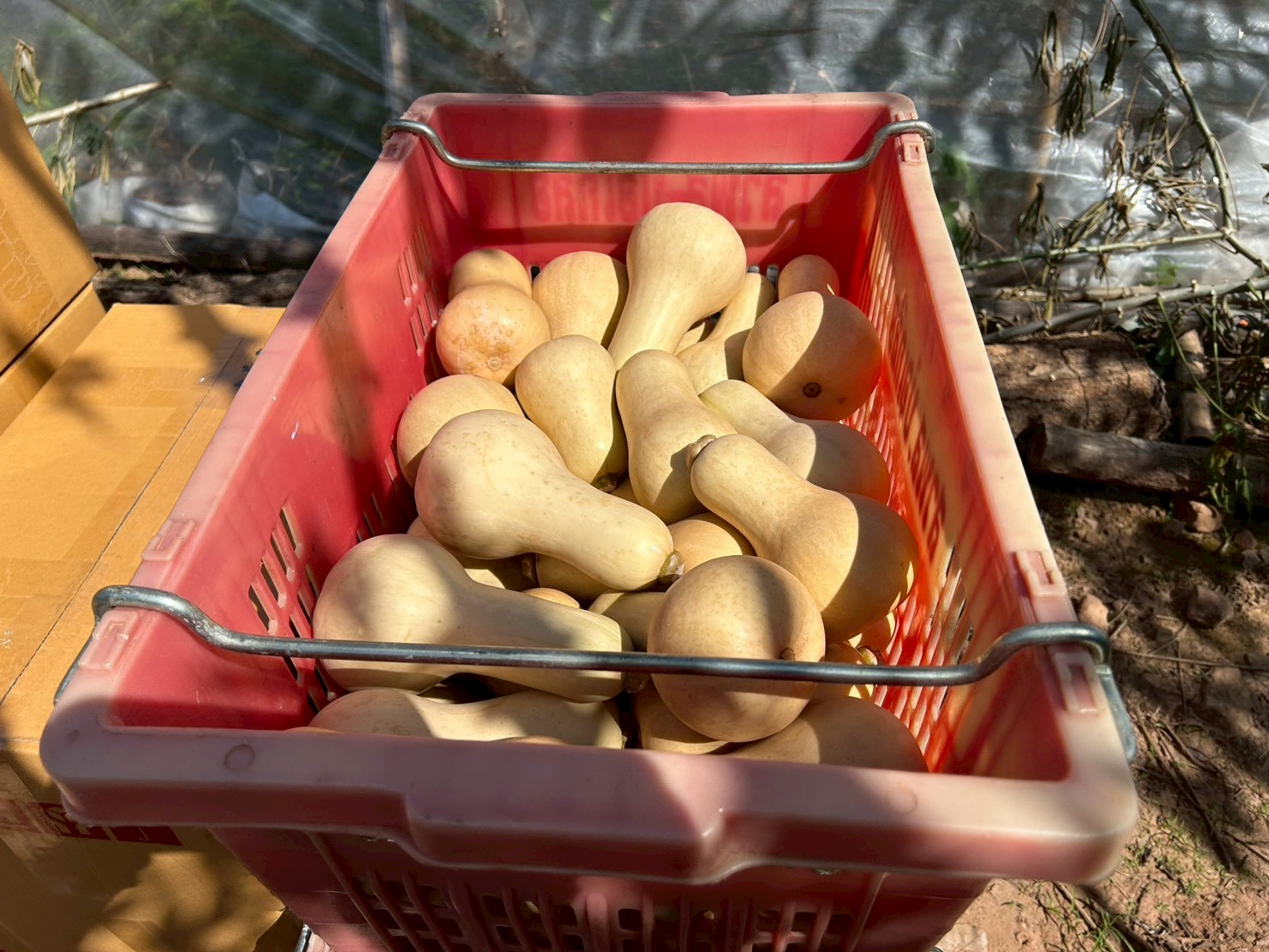 %e0%b8%9a%e0%b8%b1%e0%b8%95%e0%b9%80%e0%b8%95%e0%b8%ad%e0%b8%a3%e0%b9%8c%e0%b8%99%e0%b8%b1%e0%b8%97-%e0%b8%9a%e0%b9%88%e0%b8%ad%e0%b9%80%e0%b8%81%e0%b8%a5%e0%b8%b7%e0%b8%ad-1