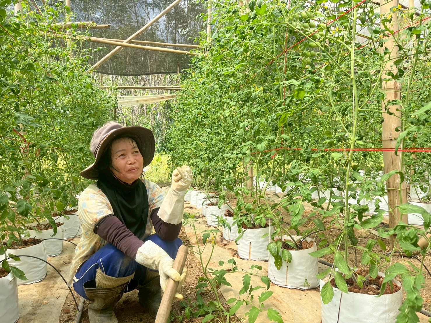 %e0%b8%9c%e0%b8%b9%e0%b9%89%e0%b8%99%e0%b8%b3%e0%b9%80%e0%b8%81%e0%b8%a9%e0%b8%95%e0%b8%a3%e0%b8%81%e0%b8%a3-%e0%b8%99%e0%b9%89%e0%b8%b3%e0%b9%80%e0%b8%84%e0%b8%b4%e0%b8%a1