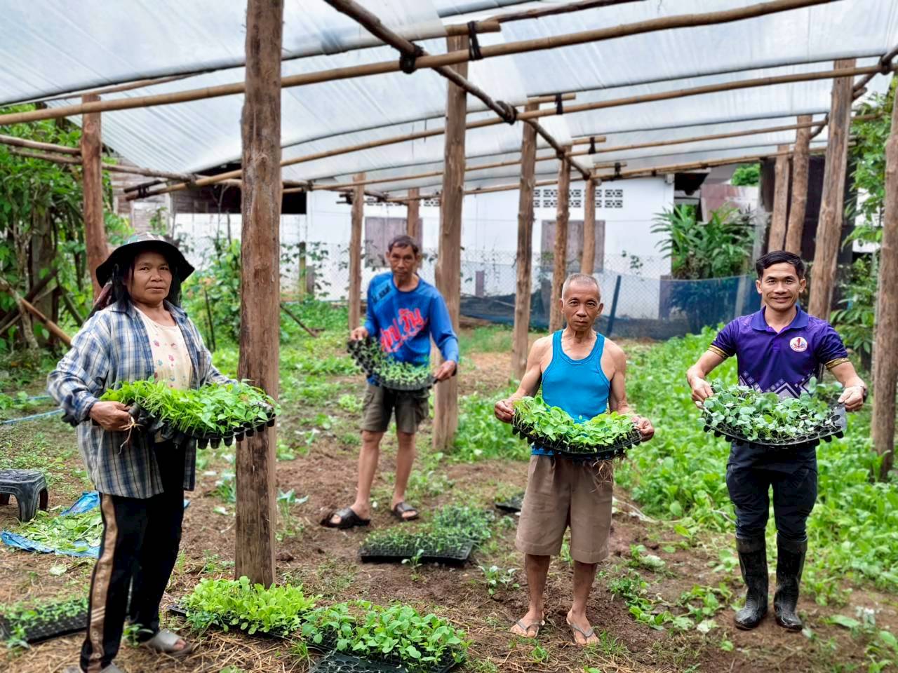 %e0%b8%95%e0%b9%89%e0%b8%99%e0%b8%81%e0%b8%a5%e0%b9%89%e0%b8%b2