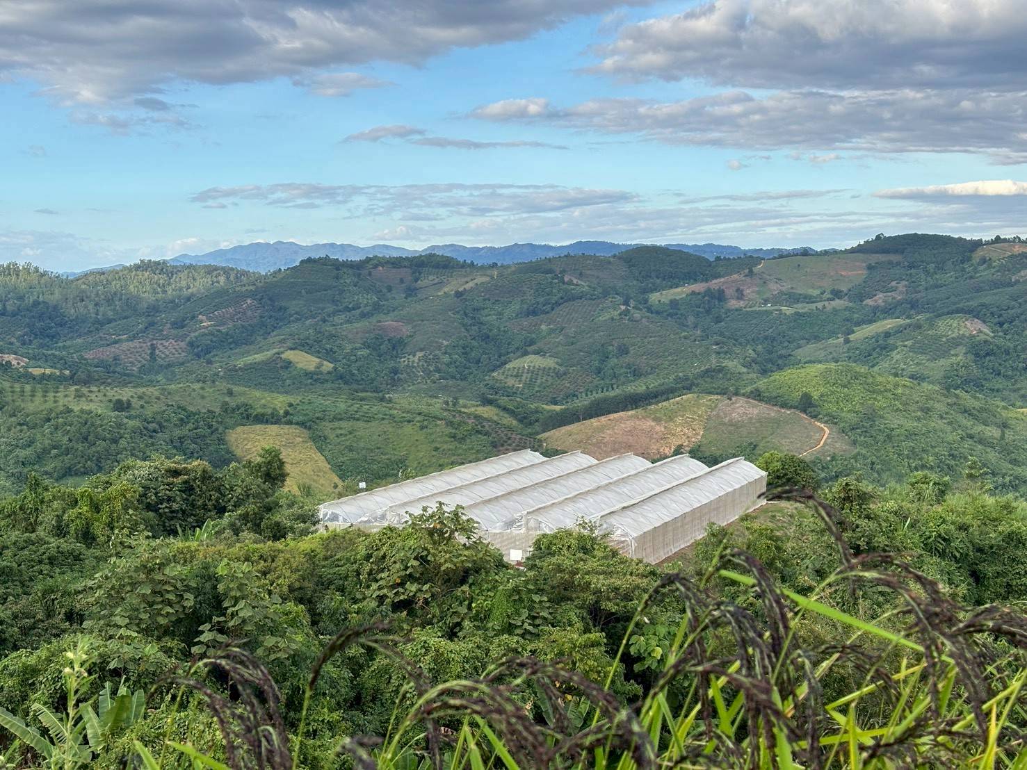 %e0%b8%9a%e0%b8%a3%e0%b8%b4%e0%b8%9a%e0%b8%97%e0%b8%9e%e0%b8%b7%e0%b9%89%e0%b8%99%e0%b8%97%e0%b8%b5%e0%b9%88%e0%b8%99%e0%b9%89%e0%b8%b3%e0%b9%81%e0%b8%9b%e0%b9%88%e0%b8%87