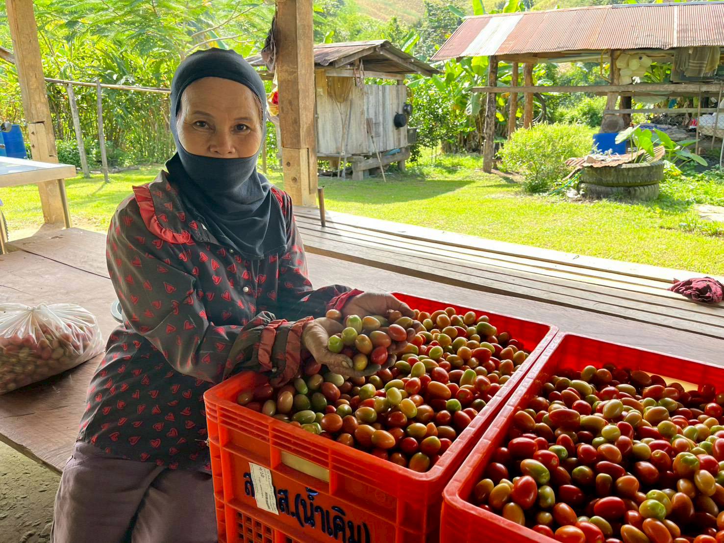 %e0%b8%9c%e0%b8%a5%e0%b8%9c%e0%b8%a5%e0%b8%b4%e0%b8%95%e0%b8%a1%e0%b8%b0%e0%b9%80%e0%b8%82%e0%b8%b7%e0%b8%ad%e0%b9%80%e0%b8%97%e0%b8%a8%e0%b9%80%e0%b8%8a%e0%b8%ad%e0%b8%a3%e0%b8%b5%e0%b9%88%e0%b8%99