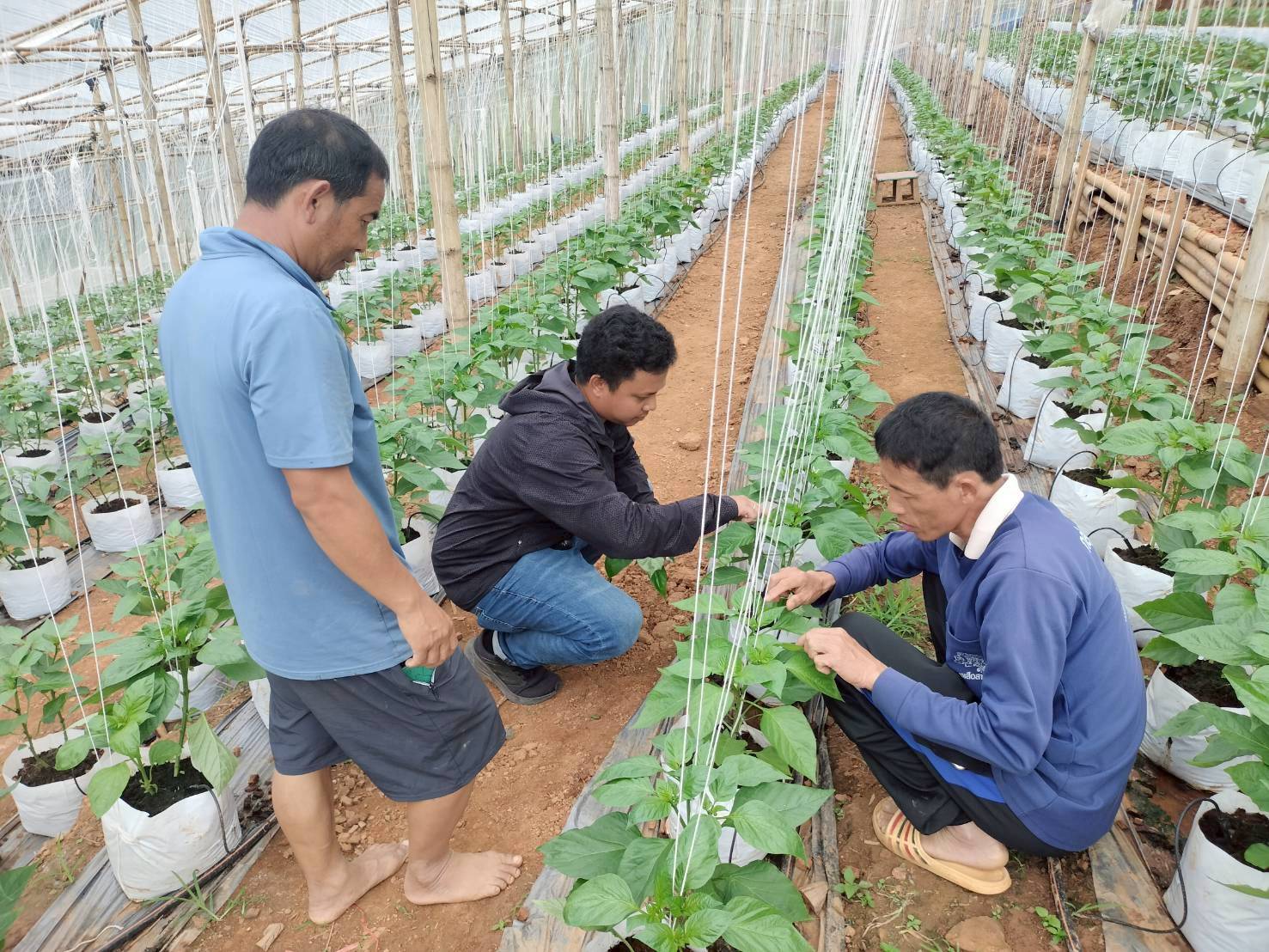 %e0%b8%95%e0%b8%b4%e0%b8%94%e0%b8%95%e0%b8%b2%e0%b8%a1%e0%b9%83%e0%b8%ab%e0%b9%89%e0%b8%84%e0%b8%b3%e0%b9%81%e0%b8%99%e0%b8%b0%e0%b8%99%e0%b8%b3%e0%b8%9c%e0%b8%b9%e0%b9%89%e0%b8%9b%e0%b8%a5%e0%b8%b9