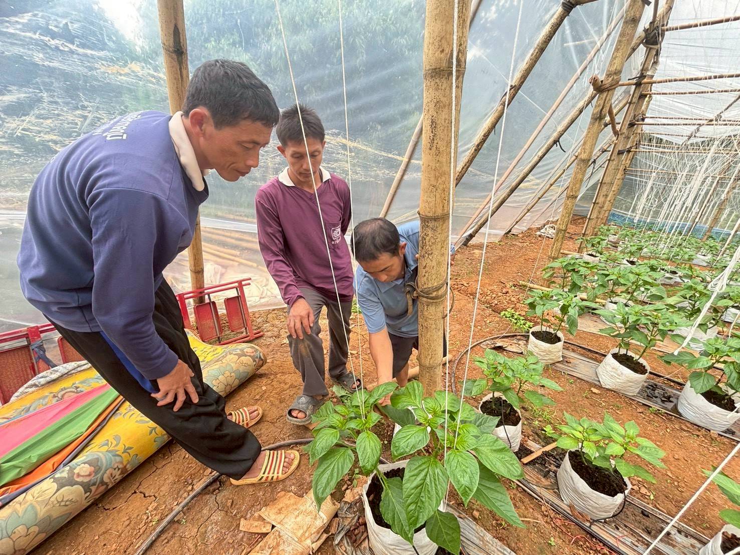 %e0%b8%95%e0%b8%b4%e0%b8%94%e0%b8%95%e0%b8%b2%e0%b8%a1%e0%b9%83%e0%b8%ab%e0%b9%89%e0%b8%84%e0%b8%b3%e0%b9%81%e0%b8%99%e0%b8%b0%e0%b8%99%e0%b8%b3%e0%b8%9c%e0%b8%b9%e0%b9%89%e0%b8%9b%e0%b8%a5%e0%b8%b9