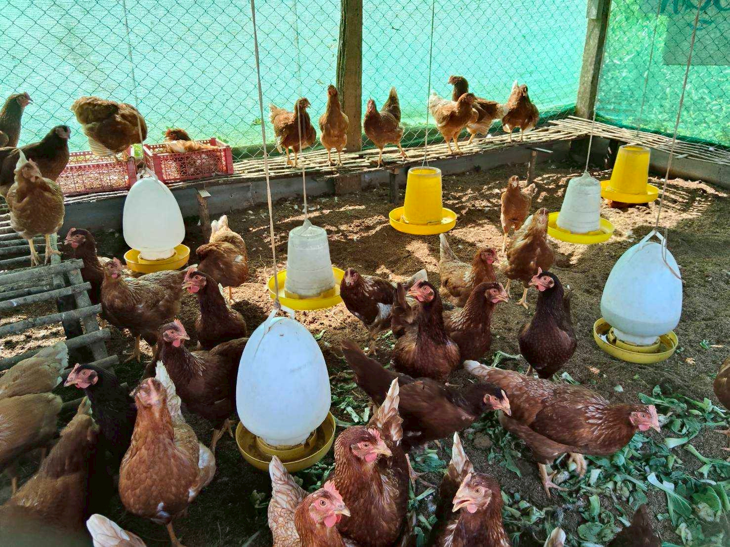 %e0%b8%9b%e0%b8%a8%e0%b8%b8%e0%b8%aa%e0%b8%b1%e0%b8%95%e0%b8%a7%e0%b9%8c-%e0%b9%81%e0%b8%a1%e0%b9%88%e0%b8%88%e0%b8%a3%e0%b8%b4%e0%b8%a1