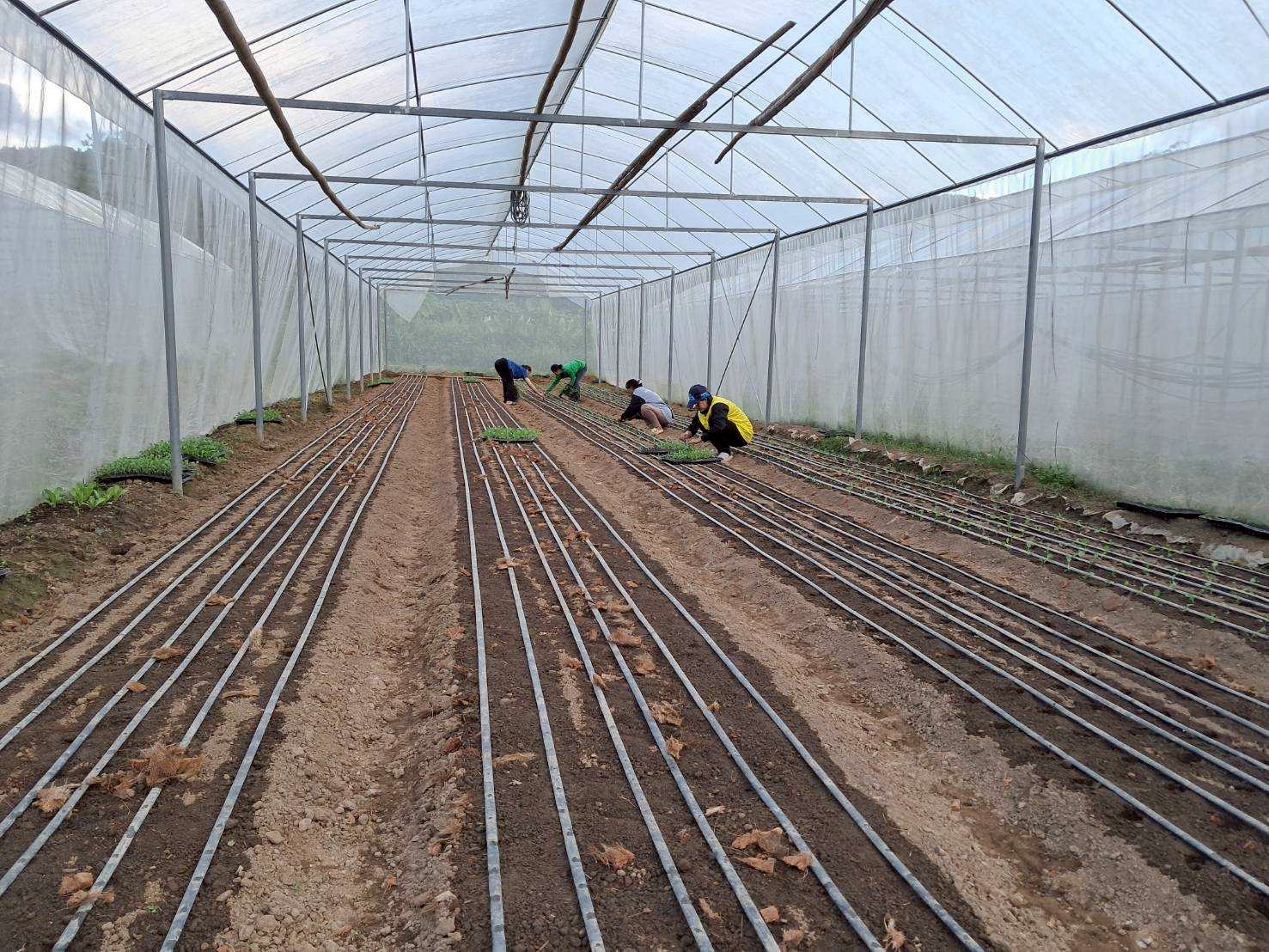 %e0%b8%9b%e0%b8%a5%e0%b8%b9%e0%b8%81%e0%b8%9c%e0%b8%b1%e0%b8%81%e0%b9%83%e0%b8%99%e0%b9%82%e0%b8%a3%e0%b8%87%e0%b9%80%e0%b8%a3%e0%b8%b7%e0%b8%ad%e0%b8%99