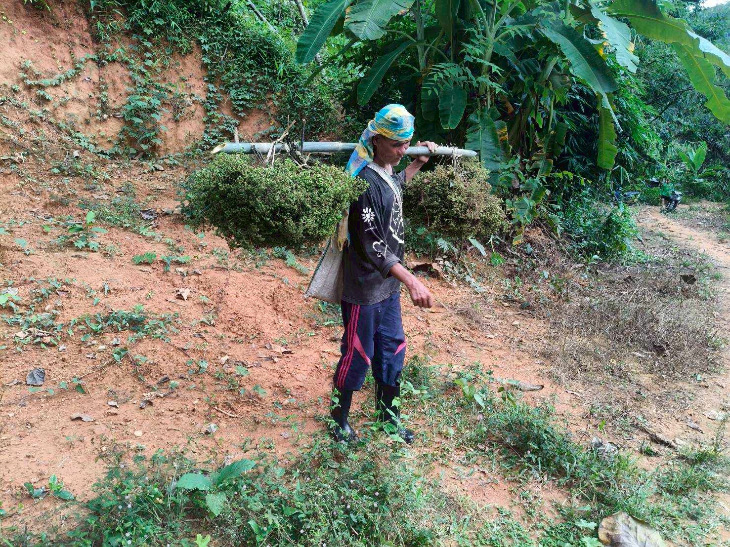 %e0%b8%a1%e0%b8%b0%e0%b9%81%e0%b8%82%e0%b9%88%e0%b8%a7%e0%b8%99%e0%b9%80%e0%b8%a1%e0%b8%b7%e0%b8%ad%e0%b8%87%e0%b8%a5%e0%b8%b5-1