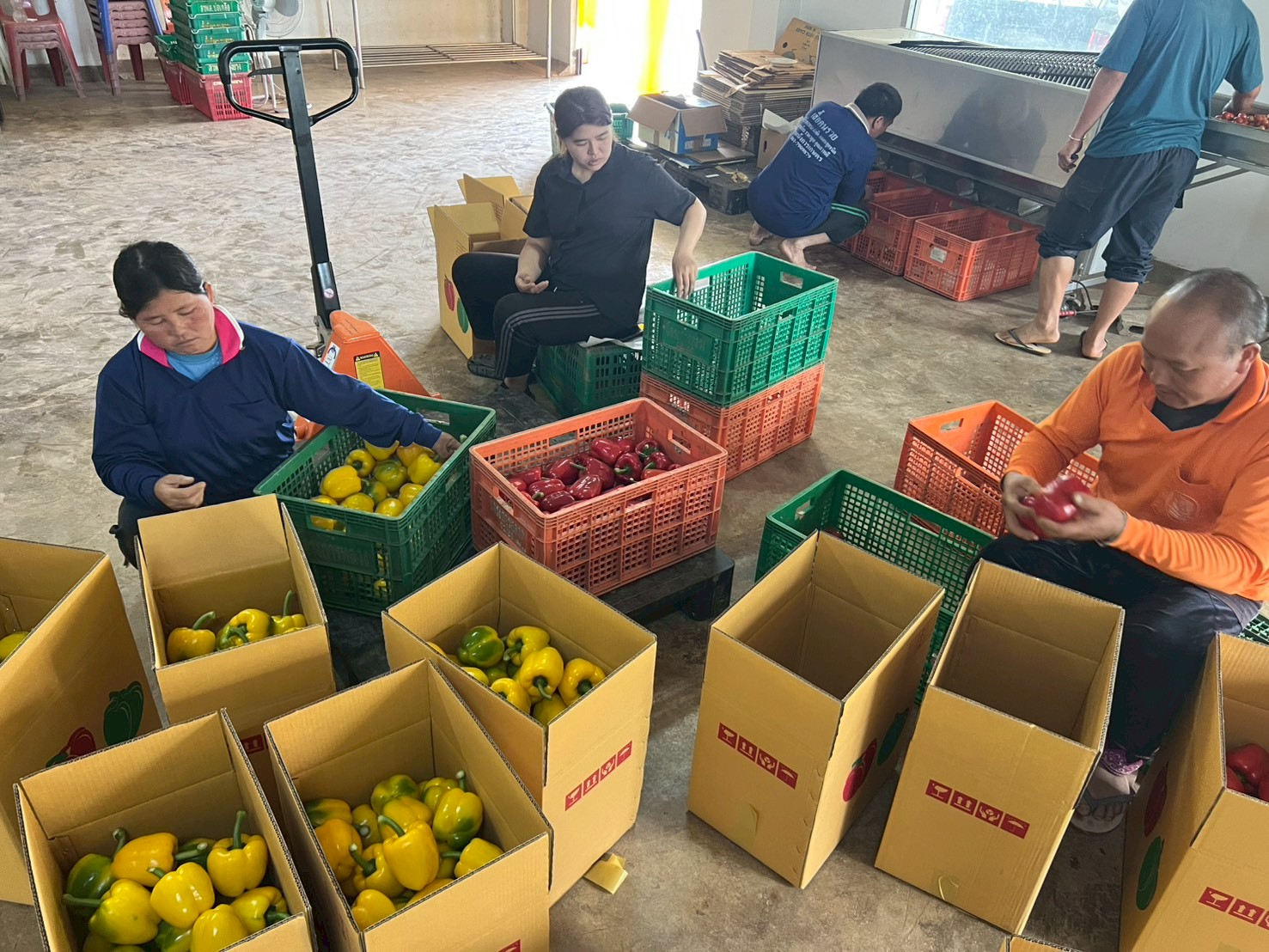 %e0%b8%84%e0%b8%b1%e0%b8%94%e0%b9%80%e0%b8%81%e0%b8%a3%e0%b8%94%e0%b8%9e%e0%b8%a3%e0%b8%b4%e0%b8%81%e0%b8%ab%e0%b8%a7%e0%b8%b2%e0%b8%99-2