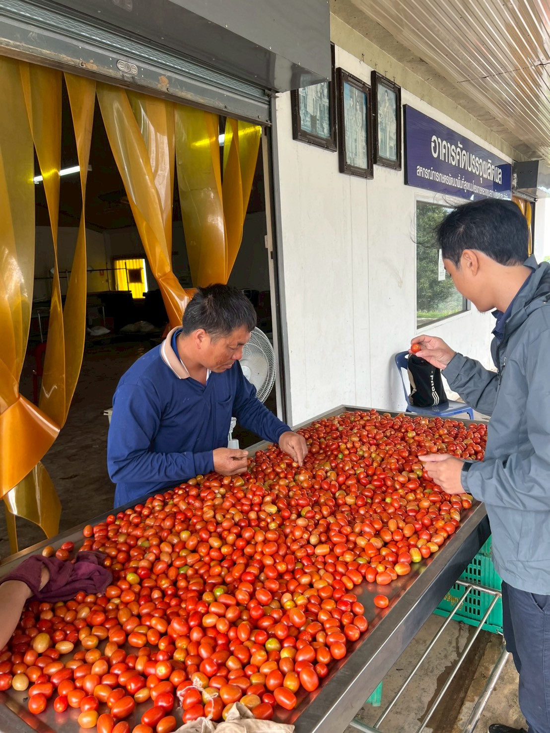 %e0%b8%84%e0%b8%b1%e0%b8%94%e0%b9%80%e0%b8%81%e0%b8%a3%e0%b8%94%e0%b8%a1%e0%b8%b0%e0%b9%80%e0%b8%82%e0%b8%b7%e0%b8%ad%e0%b9%80%e0%b8%97%e0%b8%a8%e0%b9%80%e0%b8%8a%e0%b8%ad%e0%b8%a3%e0%b8%b5%e0%b9%88