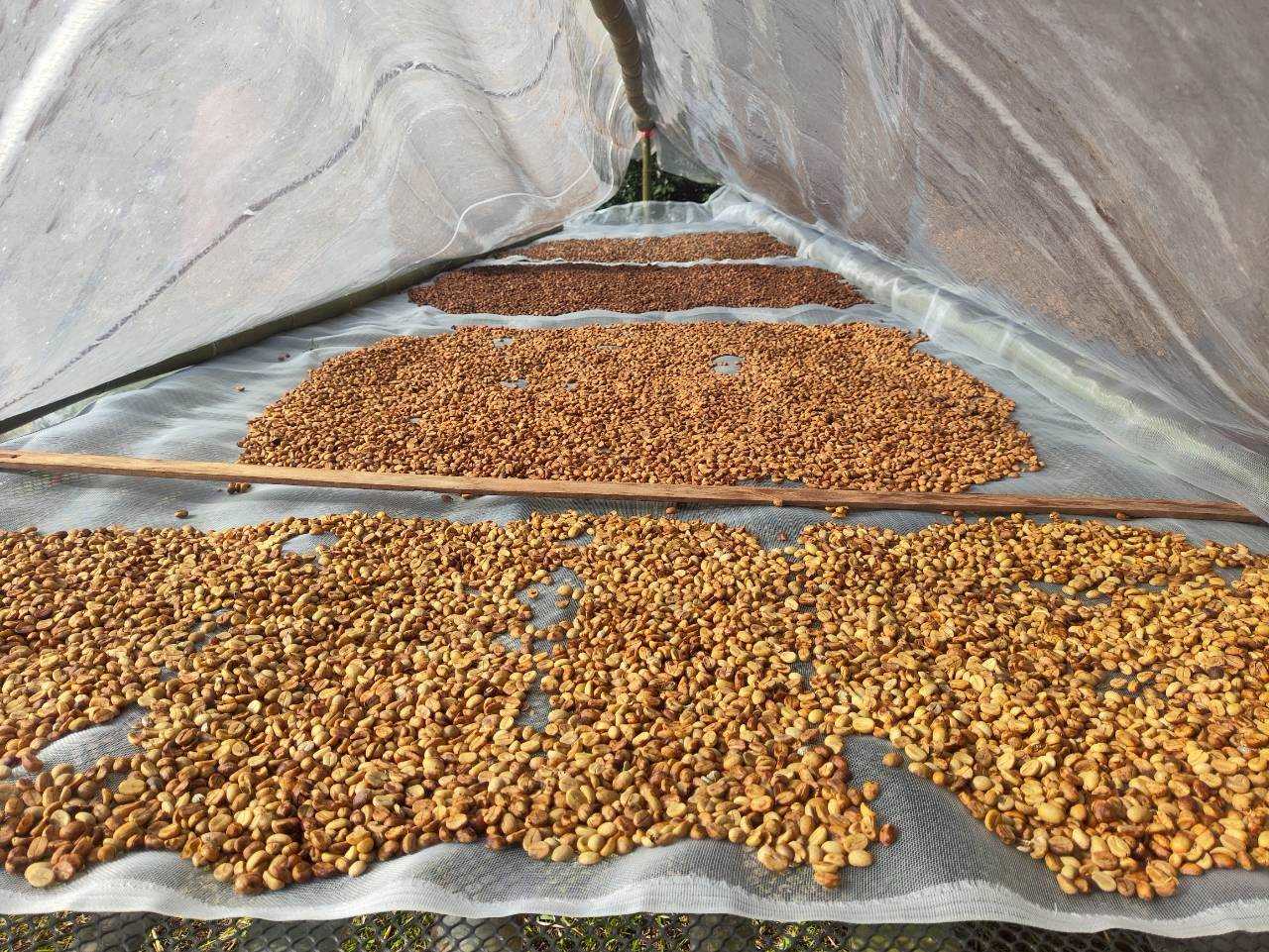 %e0%b8%95%e0%b8%b2%e0%b8%81%e0%b8%81%e0%b8%b2%e0%b9%81%e0%b8%9f