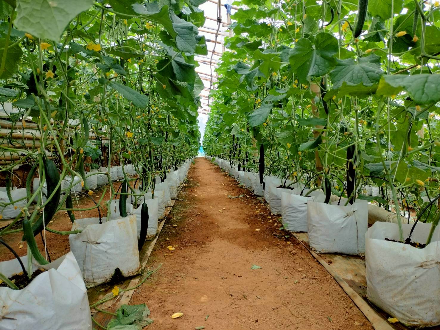 %e0%b9%81%e0%b8%9b%e0%b8%a5%e0%b8%87%e0%b9%81%e0%b8%95%e0%b8%87%e0%b8%81%e0%b8%a7%e0%b8%b2%e0%b8%8d%e0%b8%b5%e0%b9%88%e0%b8%9b%e0%b8%b8%e0%b9%88%e0%b8%99