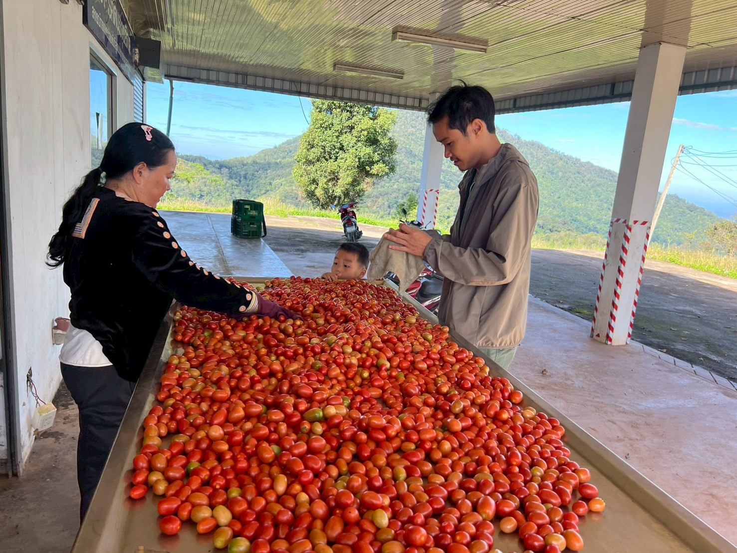 %e0%b8%84%e0%b8%b1%e0%b8%94%e0%b9%80%e0%b8%81%e0%b8%a3%e0%b8%94%e0%b8%9c%e0%b8%a5%e0%b8%9c%e0%b8%a5%e0%b8%b4%e0%b8%95%e0%b8%a1%e0%b8%b0%e0%b9%80%e0%b8%82%e0%b8%b7%e0%b8%ad%e0%b9%80%e0%b8%97%e0%b8%a8